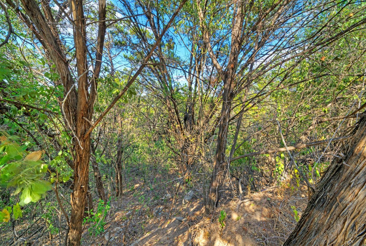 2412 Crazyhorse Pass, Austin, TX 78734