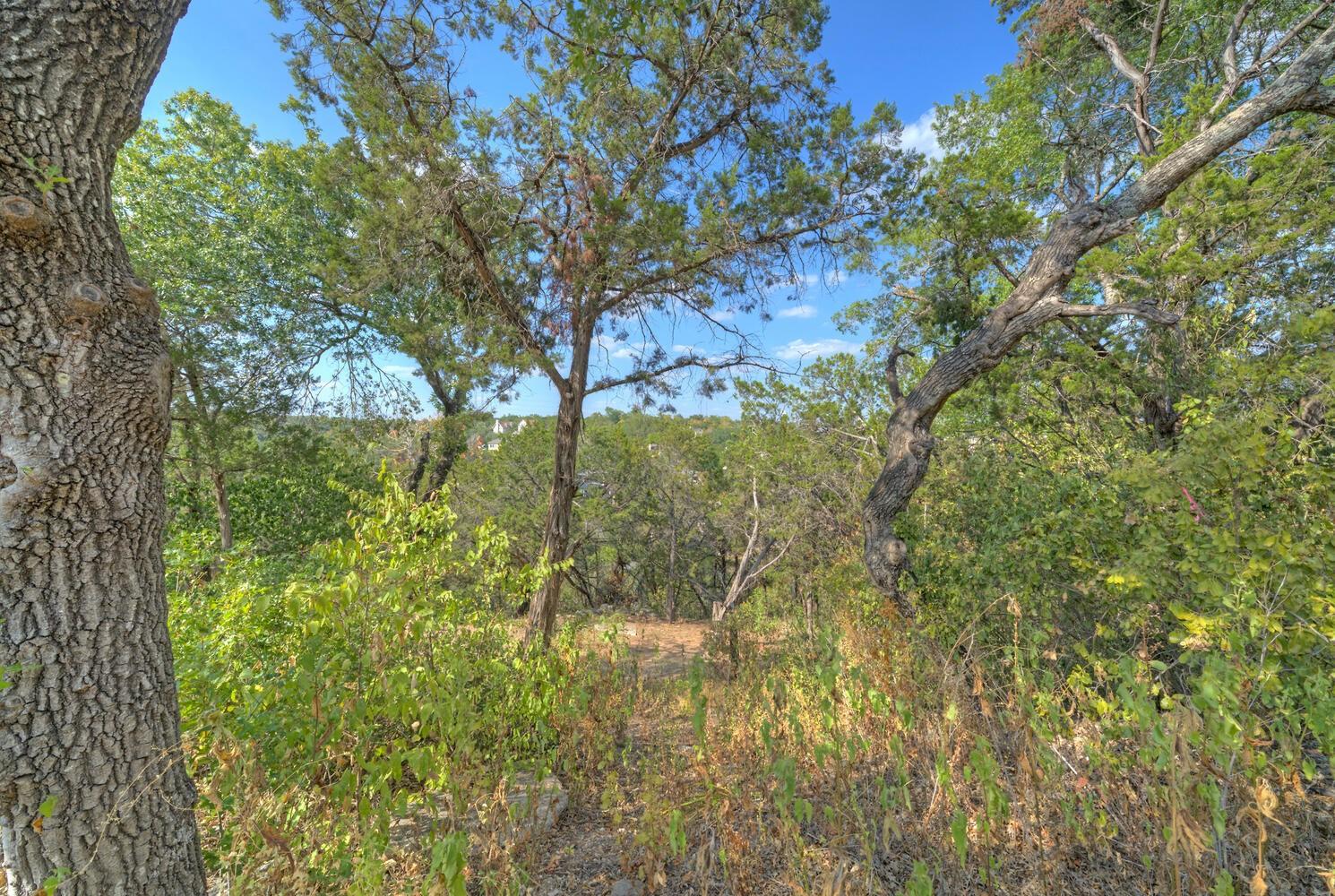 2412 Crazyhorse Pass, Austin, TX 78734