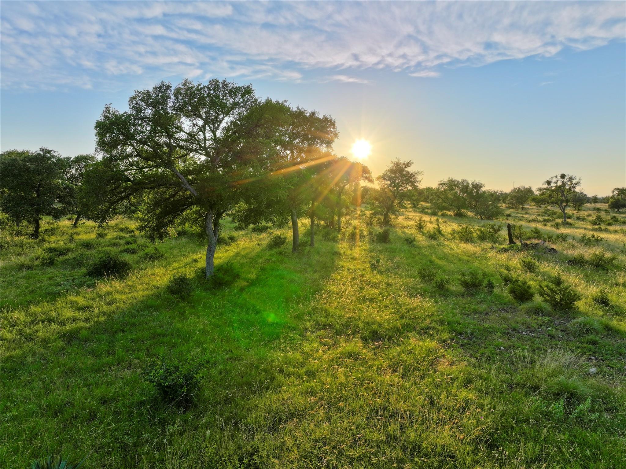 Lot 4 CR 220, Briggs, TX 78608