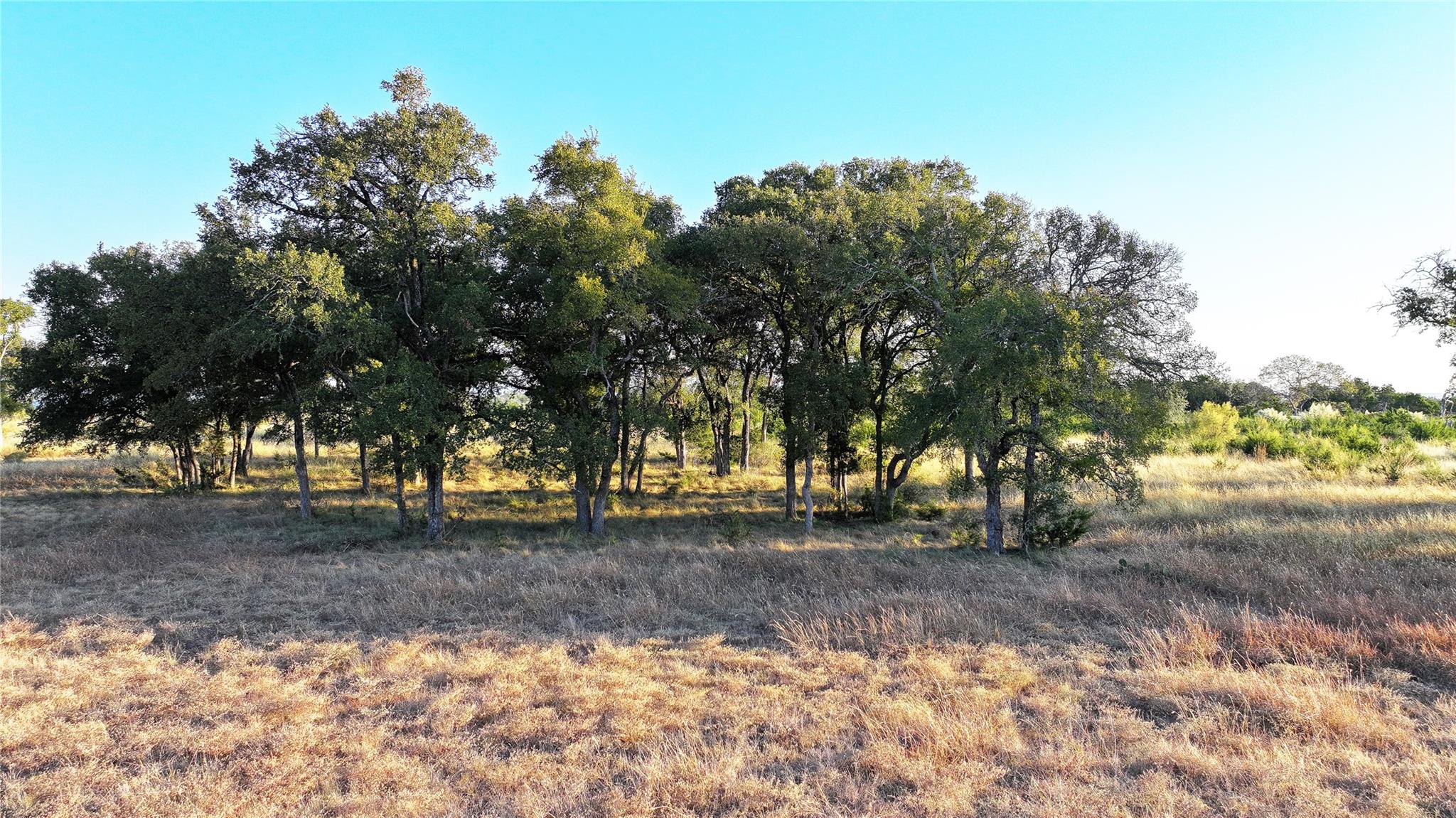 Lot 4 CR 220, Briggs, TX 78608