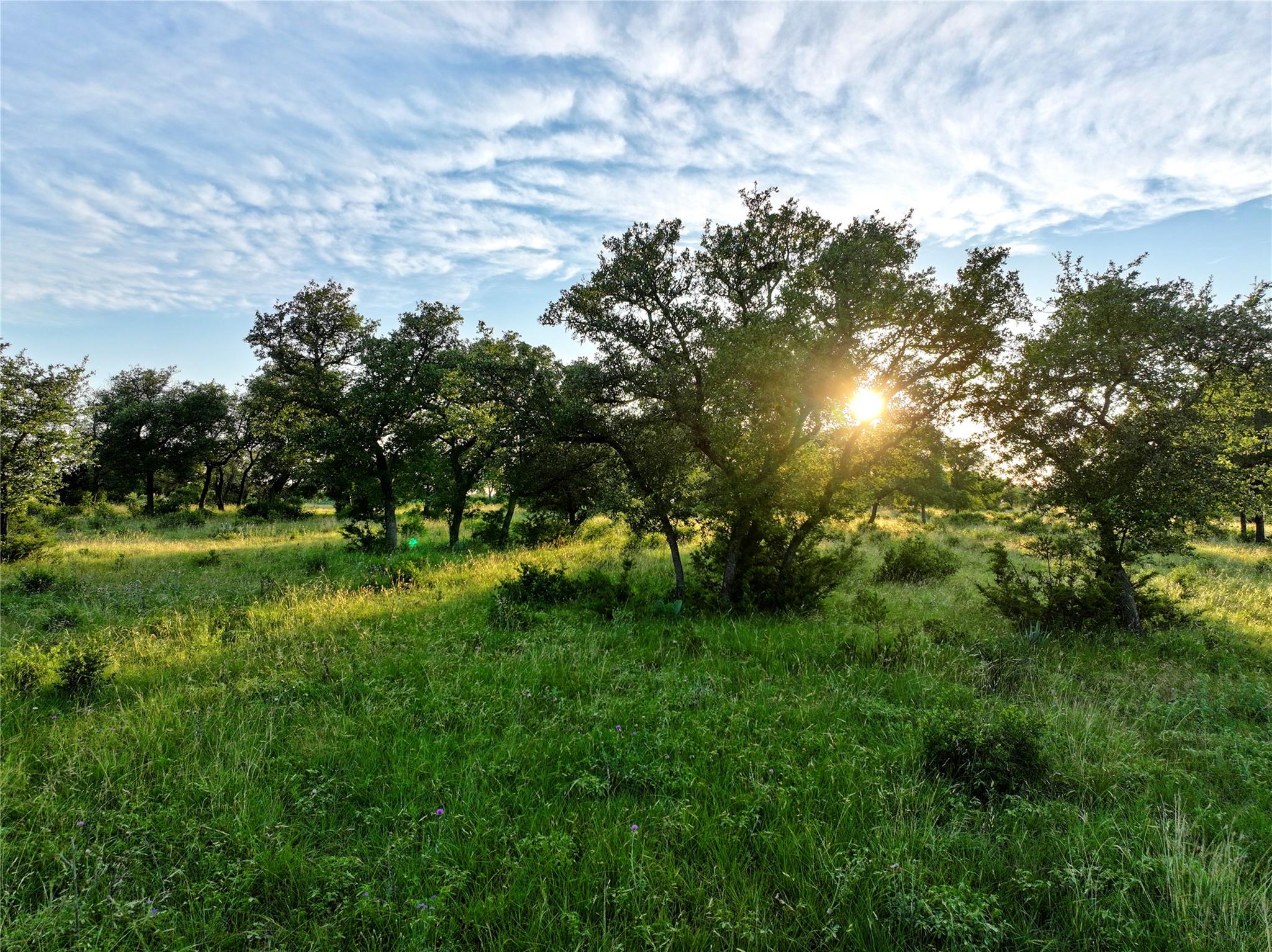 Lot 4 CR 220, Briggs, TX 78608