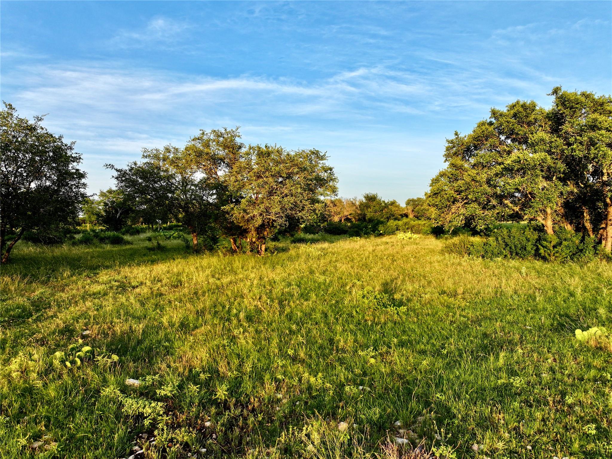 Lot 4 CR 220, Briggs, TX 78608