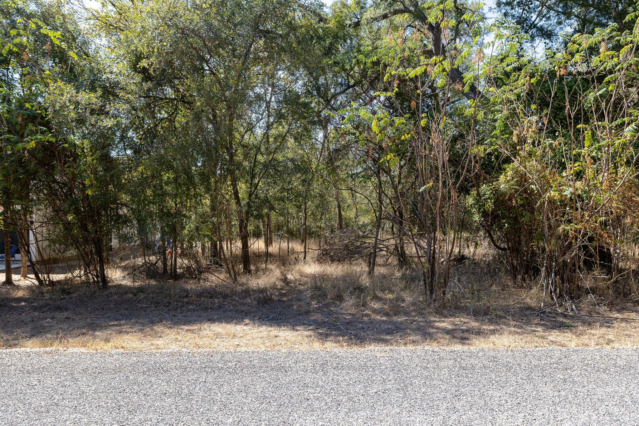 207 Kahana Ln, Bastrop, TX 78602