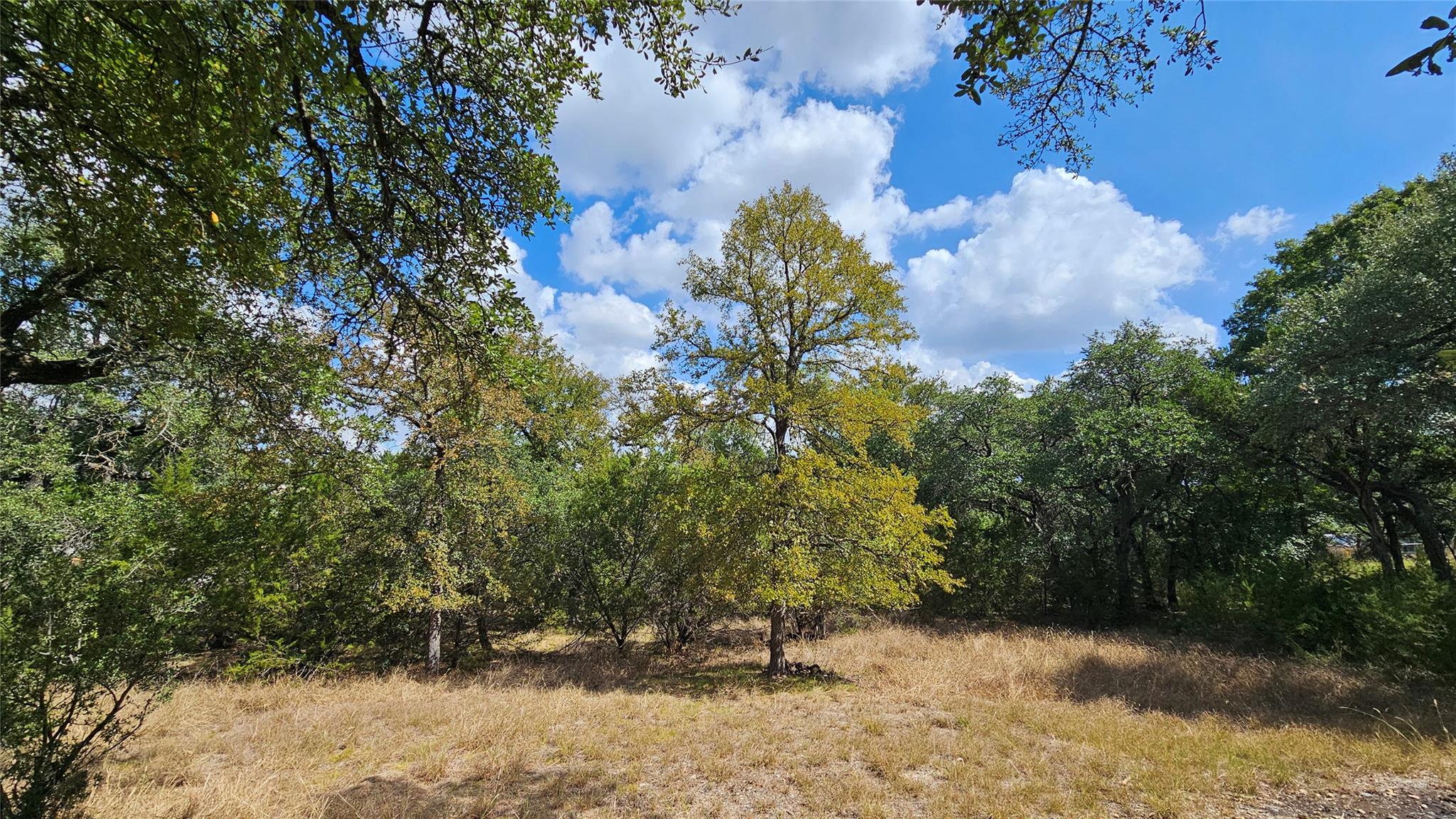 1301 County Road 262, Georgetown, TX 78633