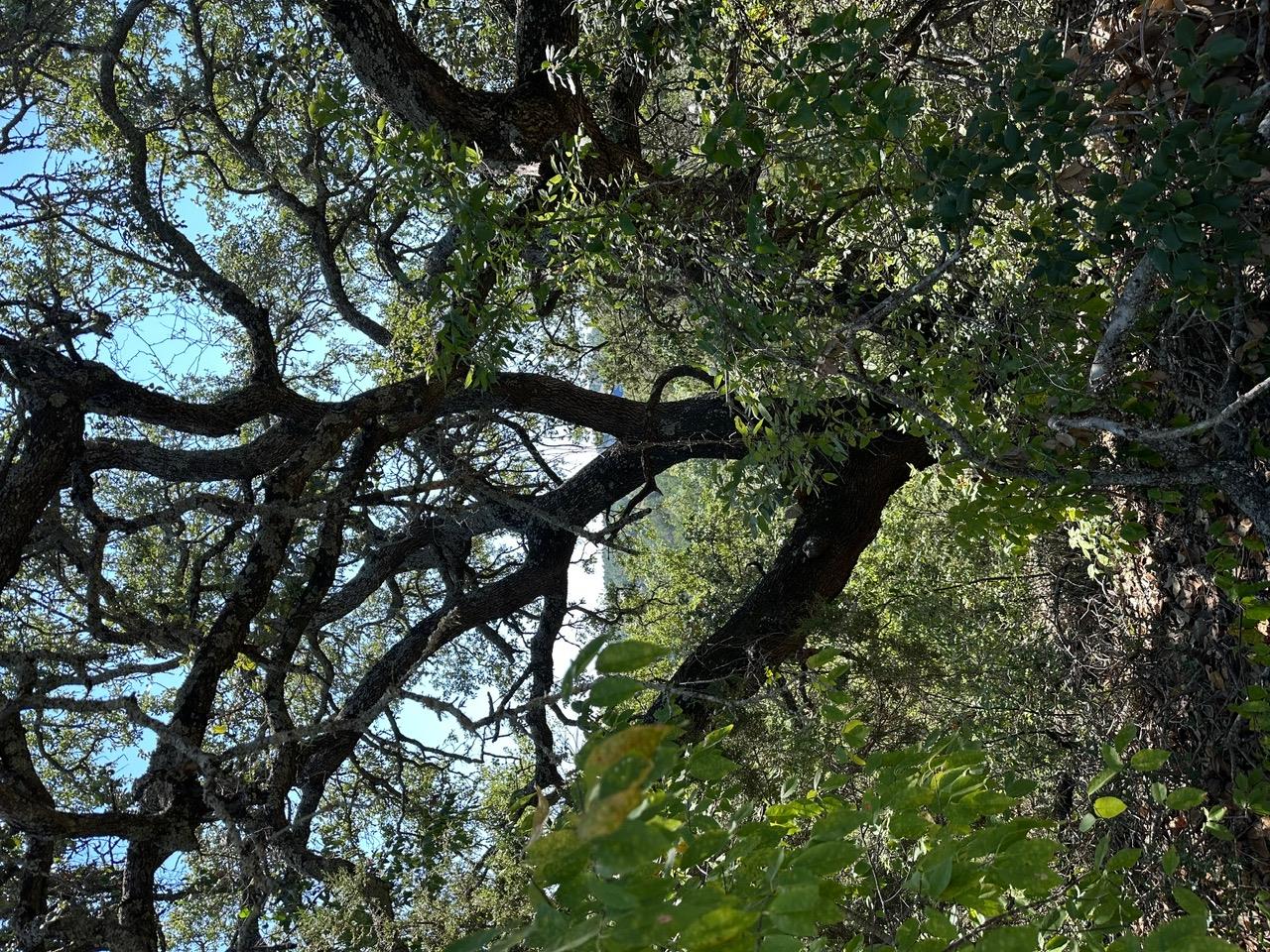 8503 Talon Cir, Lago Vista, TX 78645