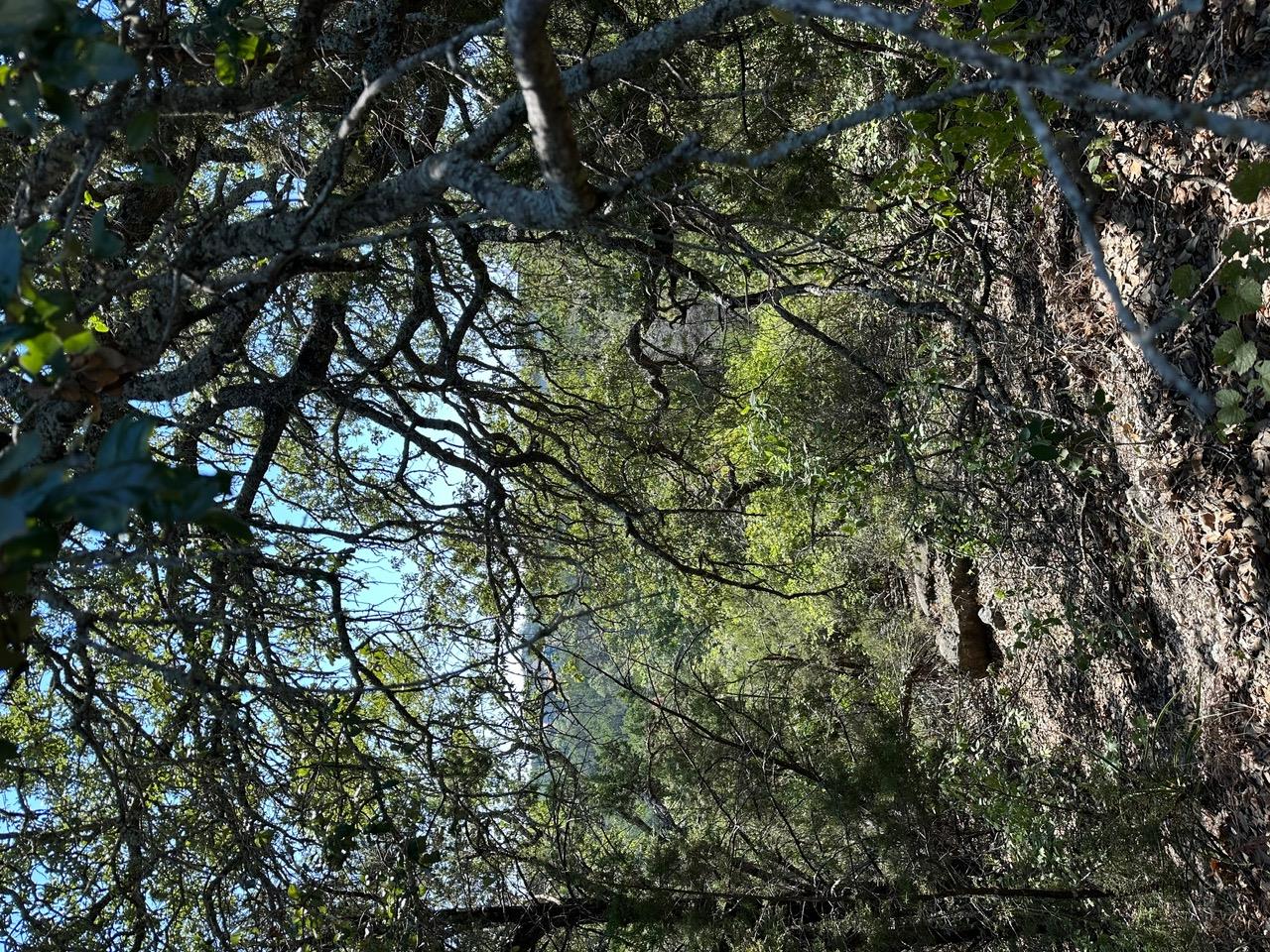 8503 Talon Cir, Lago Vista, TX 78645