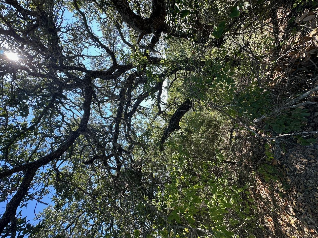 8503 Talon Cir, Lago Vista, TX 78645