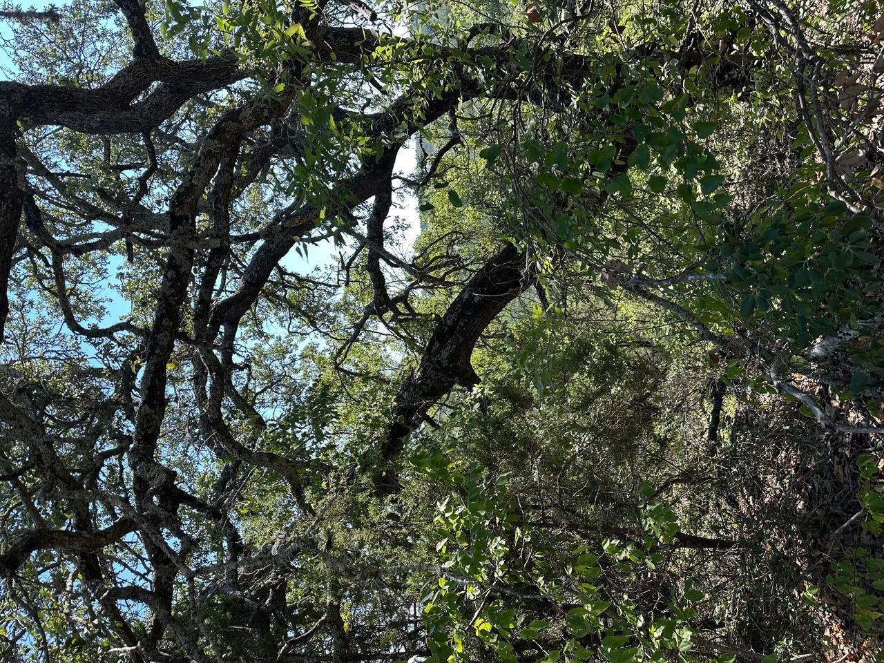 8503 Talon Cir, Lago Vista, TX 78645