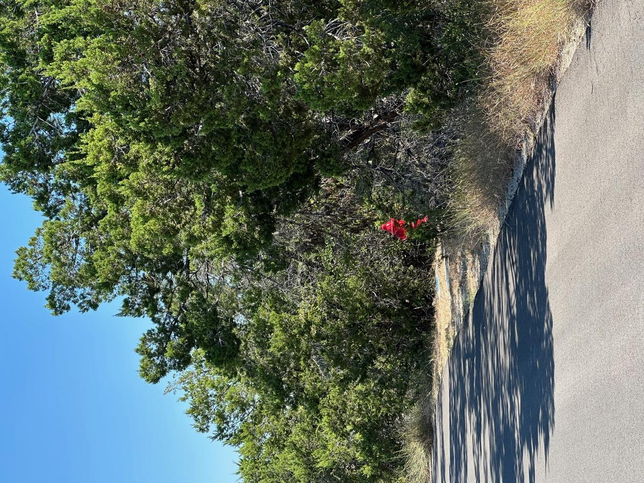 8503 Talon Cir, Lago Vista, TX 78645