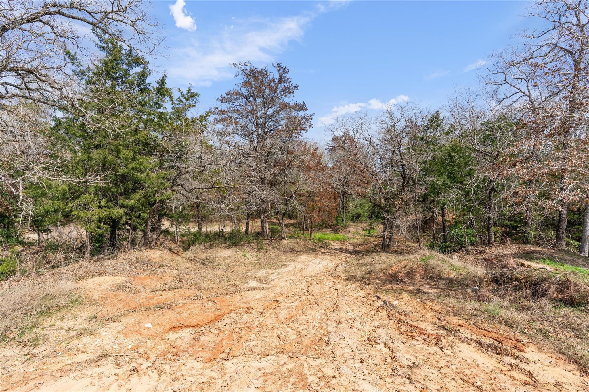 974 County Road 319, Rockdale, TX 76567