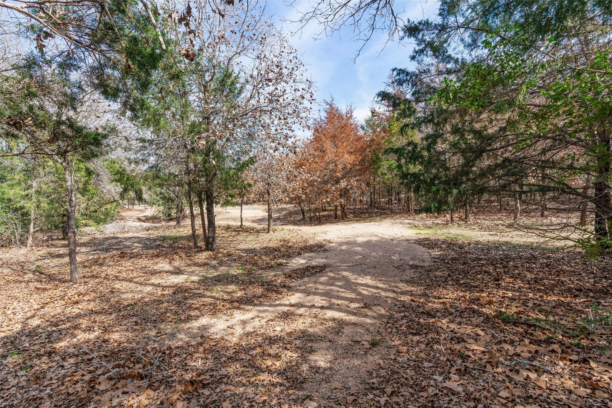 974 County Road 319, Rockdale, TX 76567