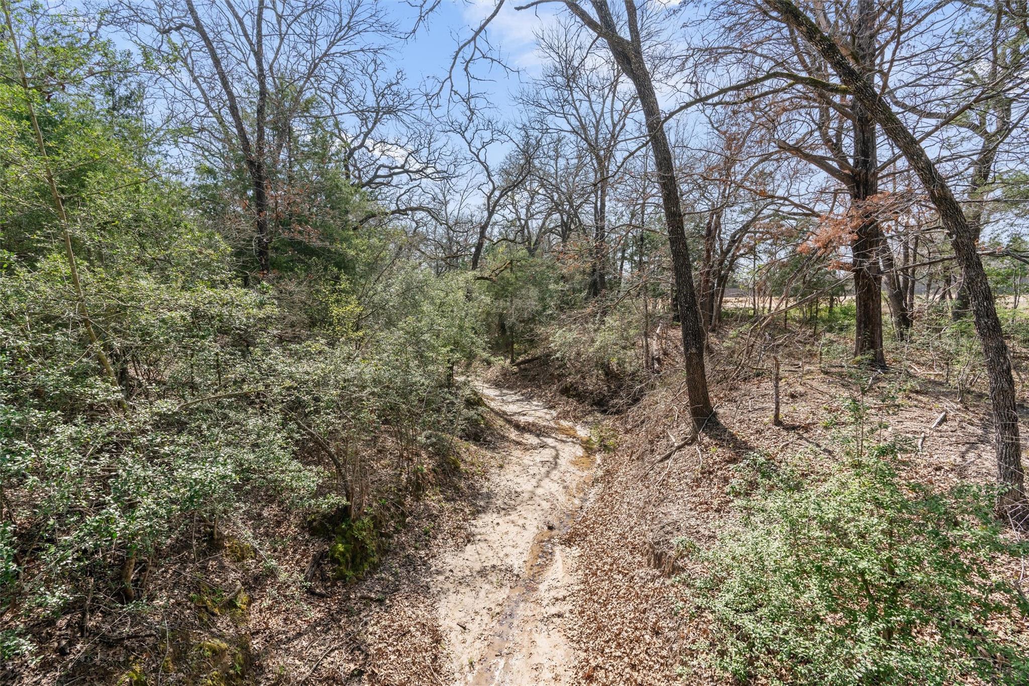 974 County Road 319, Rockdale, TX 76567