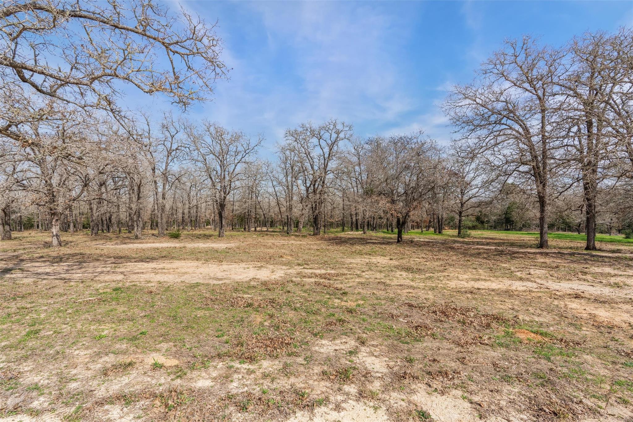 974 County Road 319, Rockdale, TX 76567