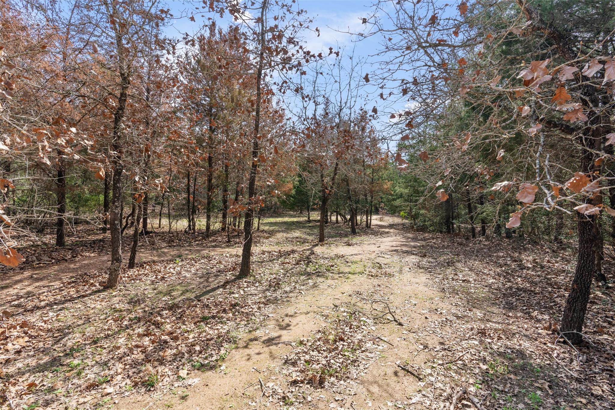 974 County Road 319, Rockdale, TX 76567