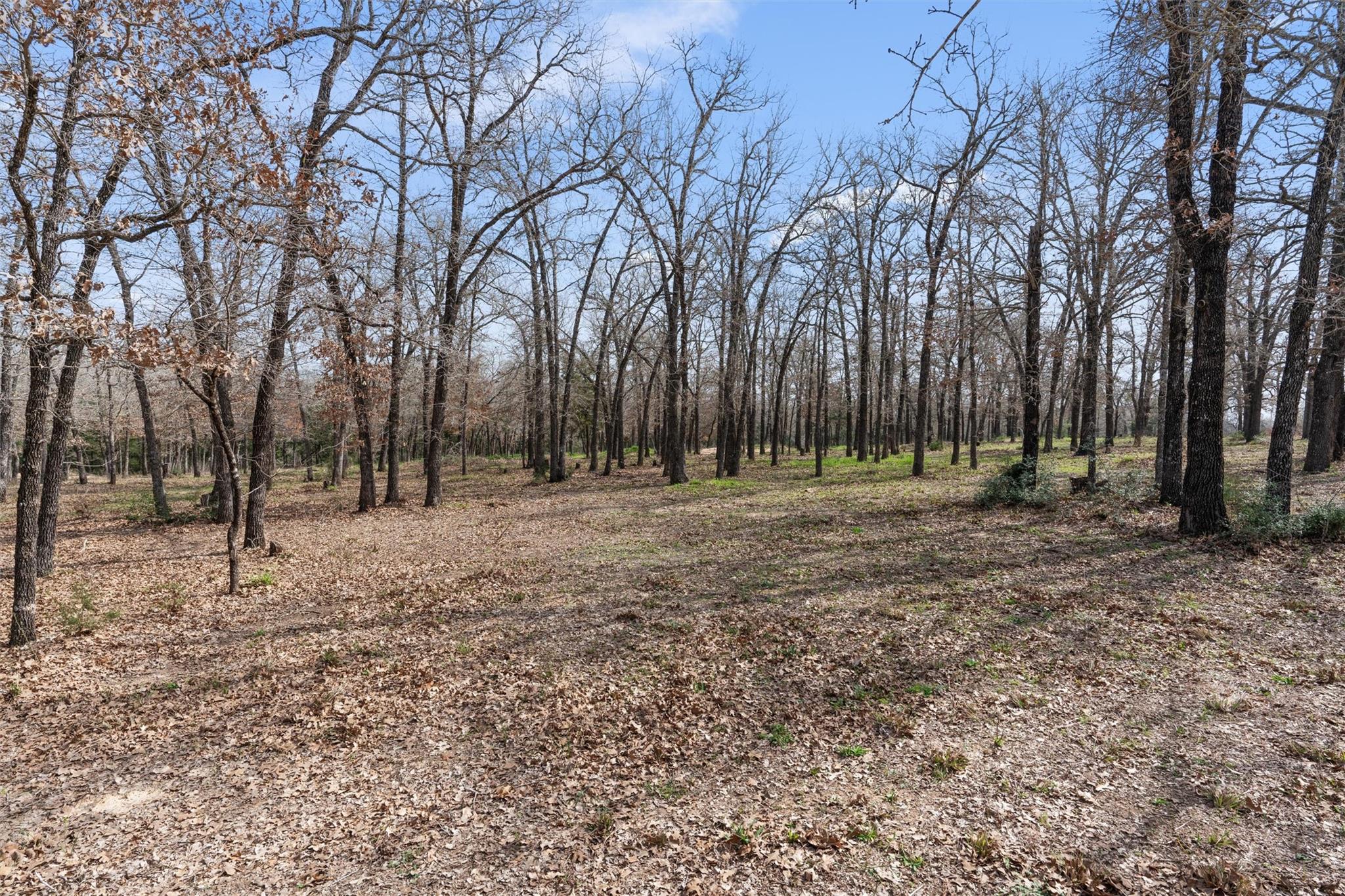 974 County Road 319, Rockdale, TX 76567