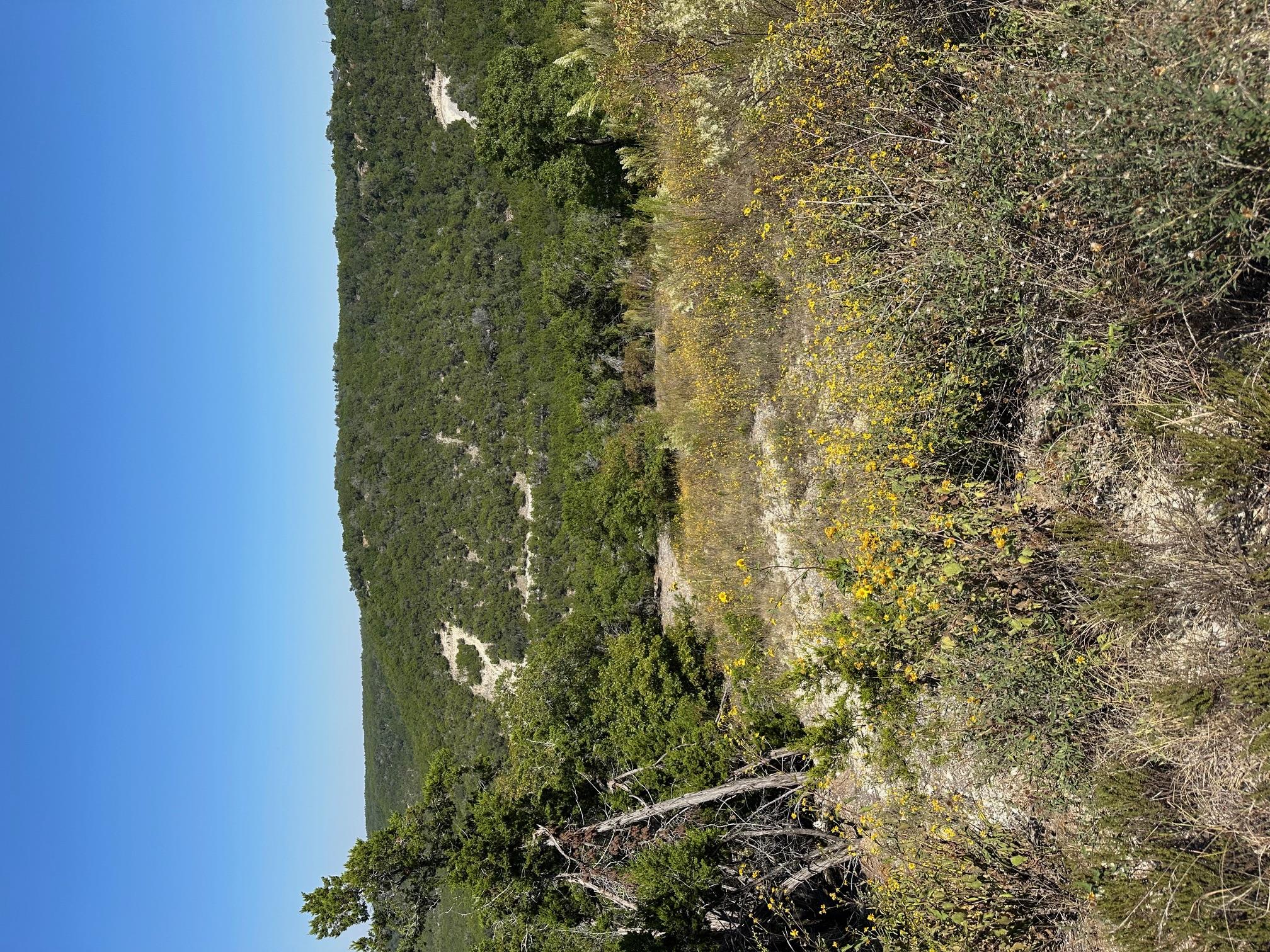 21400 Bison Trl, Lago Vista, TX 78645