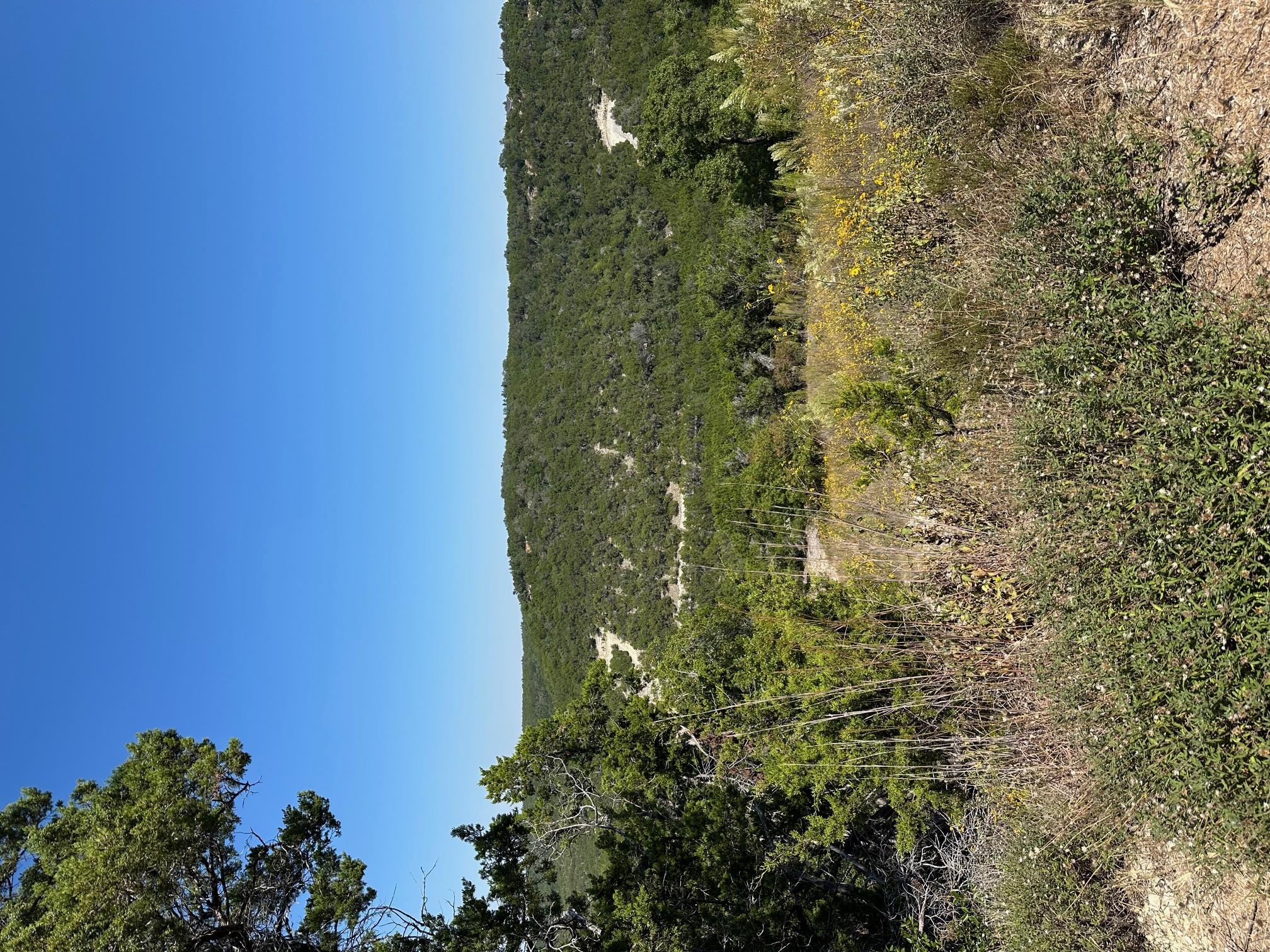 21400 Bison Trl, Lago Vista, TX 78645