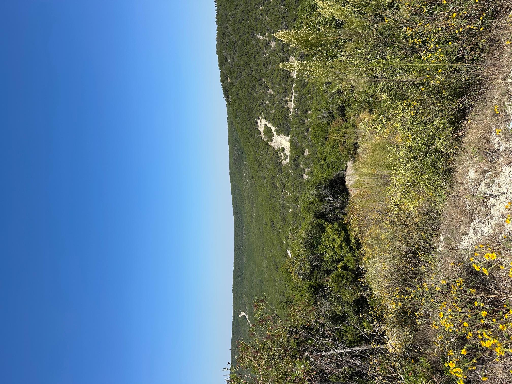 21400 Bison Trl, Lago Vista, TX 78645