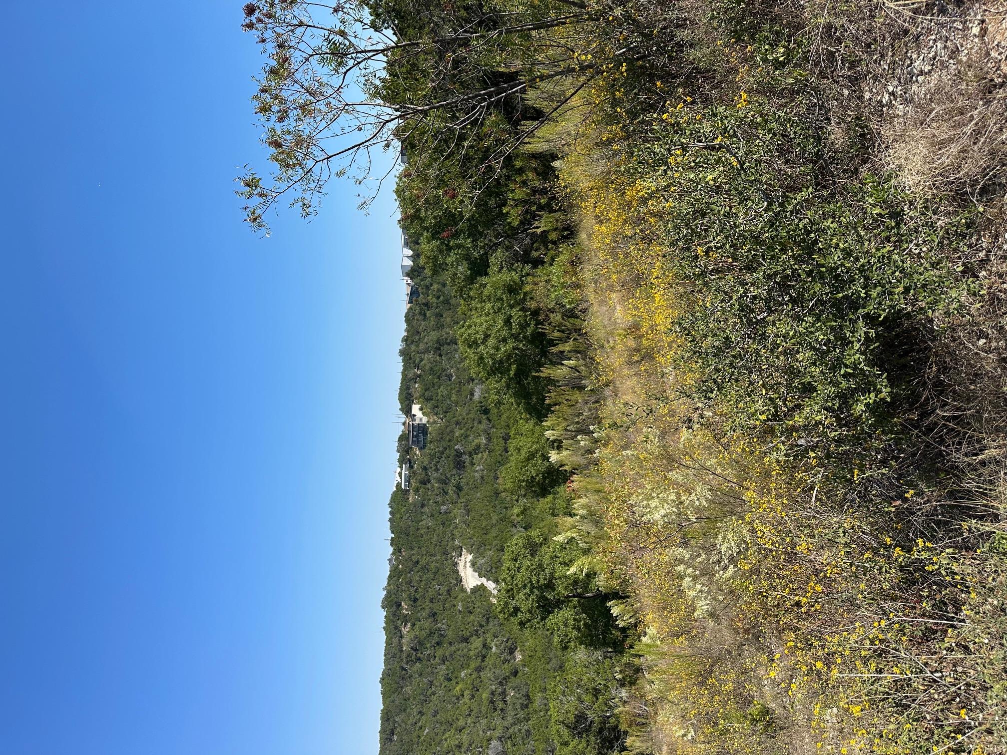 21400 Bison Trl, Lago Vista, TX 78645