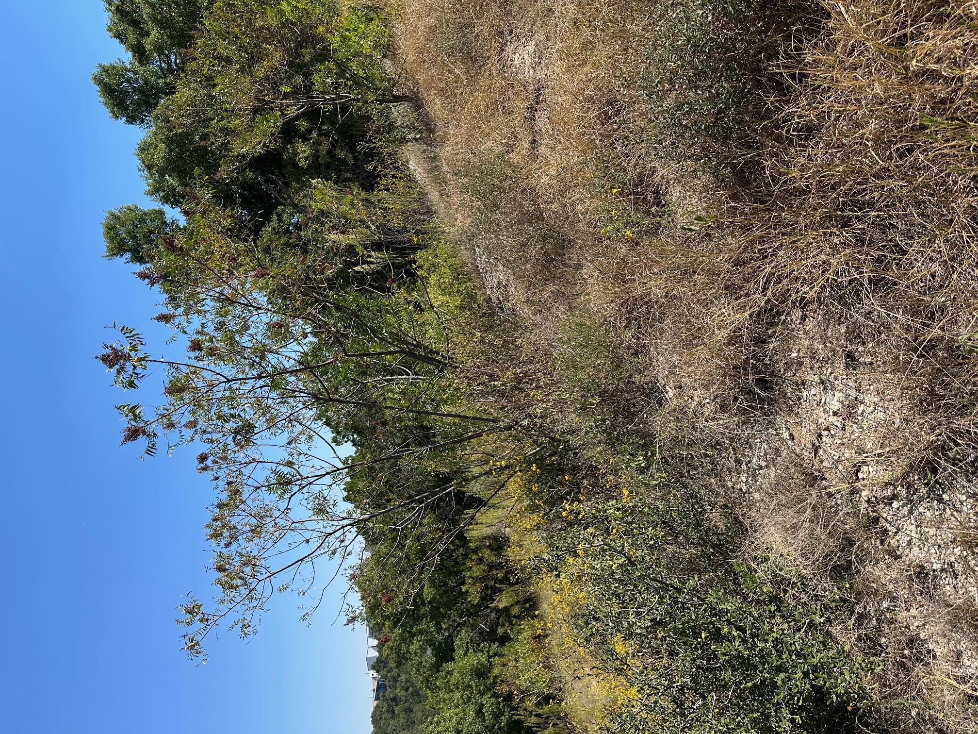 21400 Bison Trl, Lago Vista, TX 78645