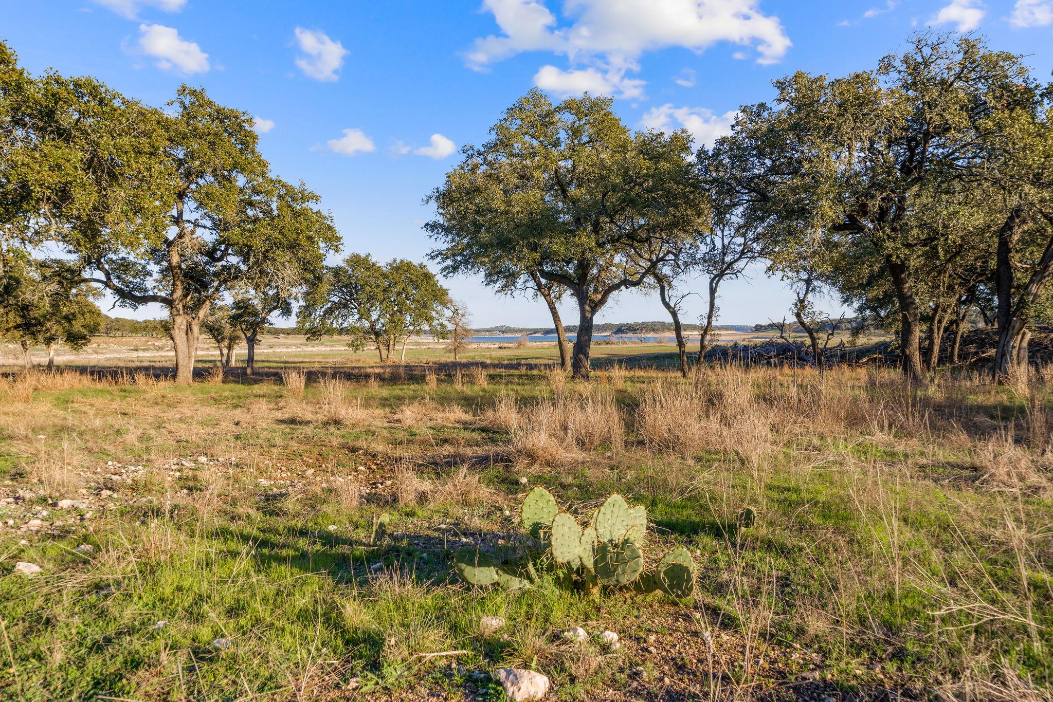 539 Clay Ridge Rdg, Canyon Lake, TX 78133