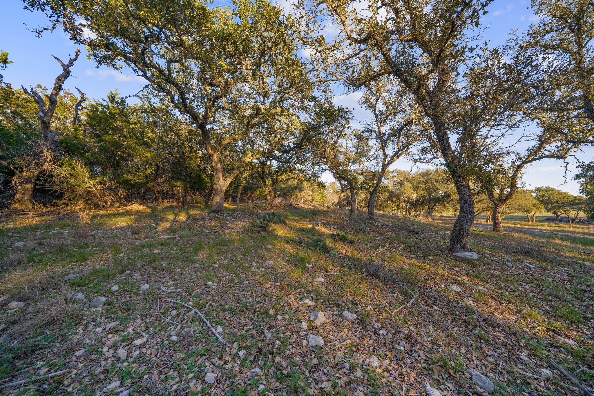 539 Clay Ridge Rdg, Canyon Lake, TX 78133