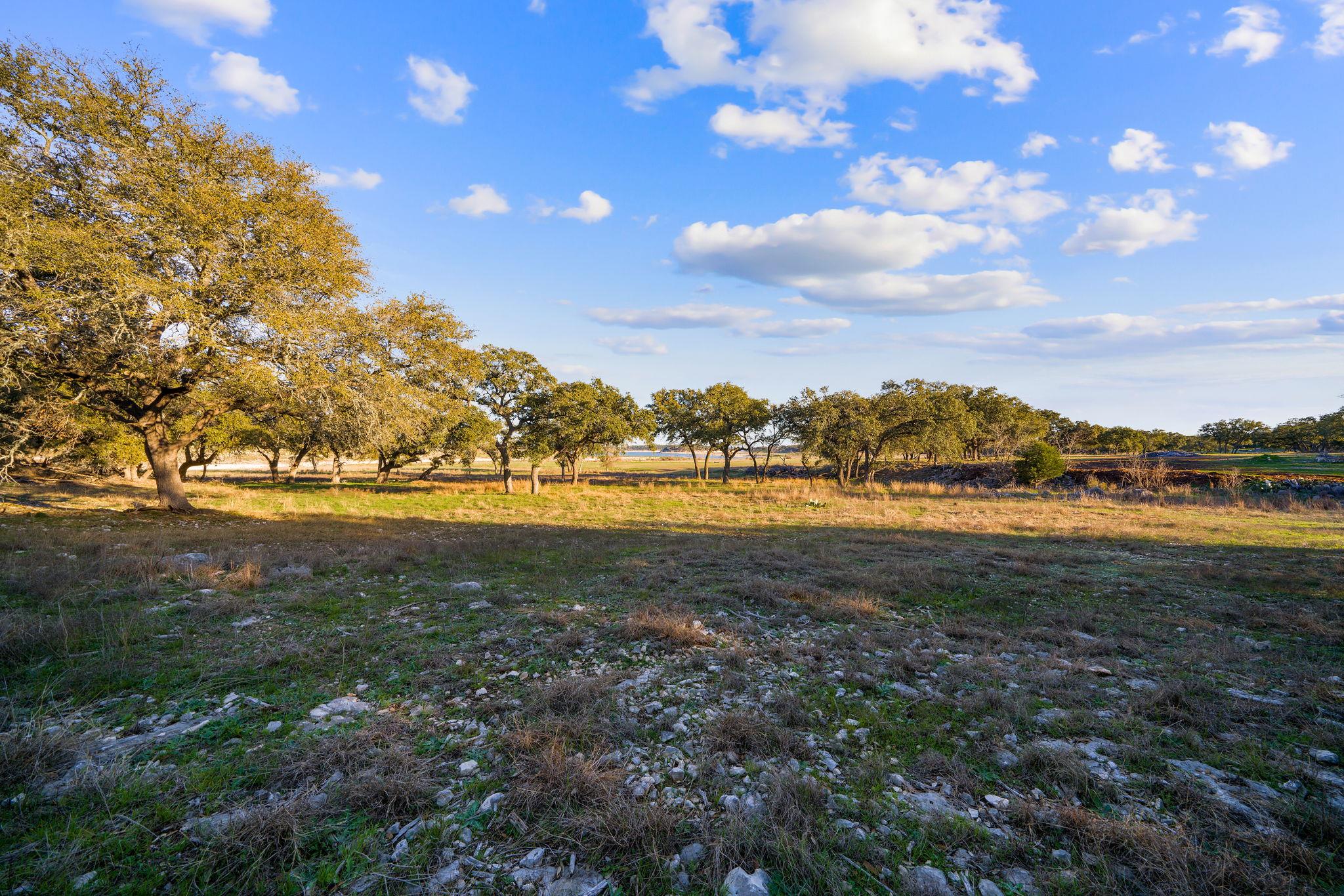 539 Clay Ridge Rdg, Canyon Lake, TX 78133