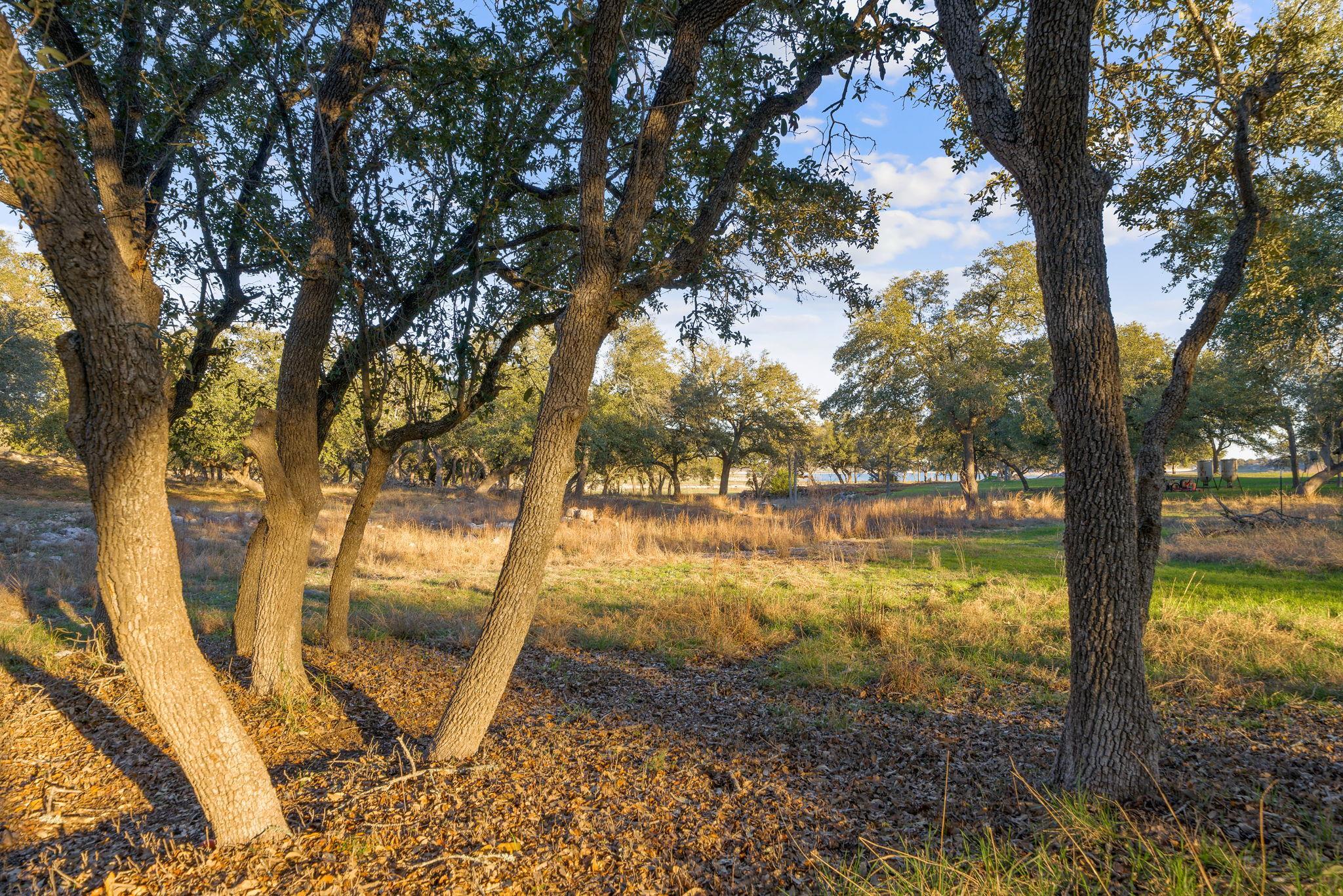 539 Clay Ridge Rdg, Canyon Lake, TX 78133