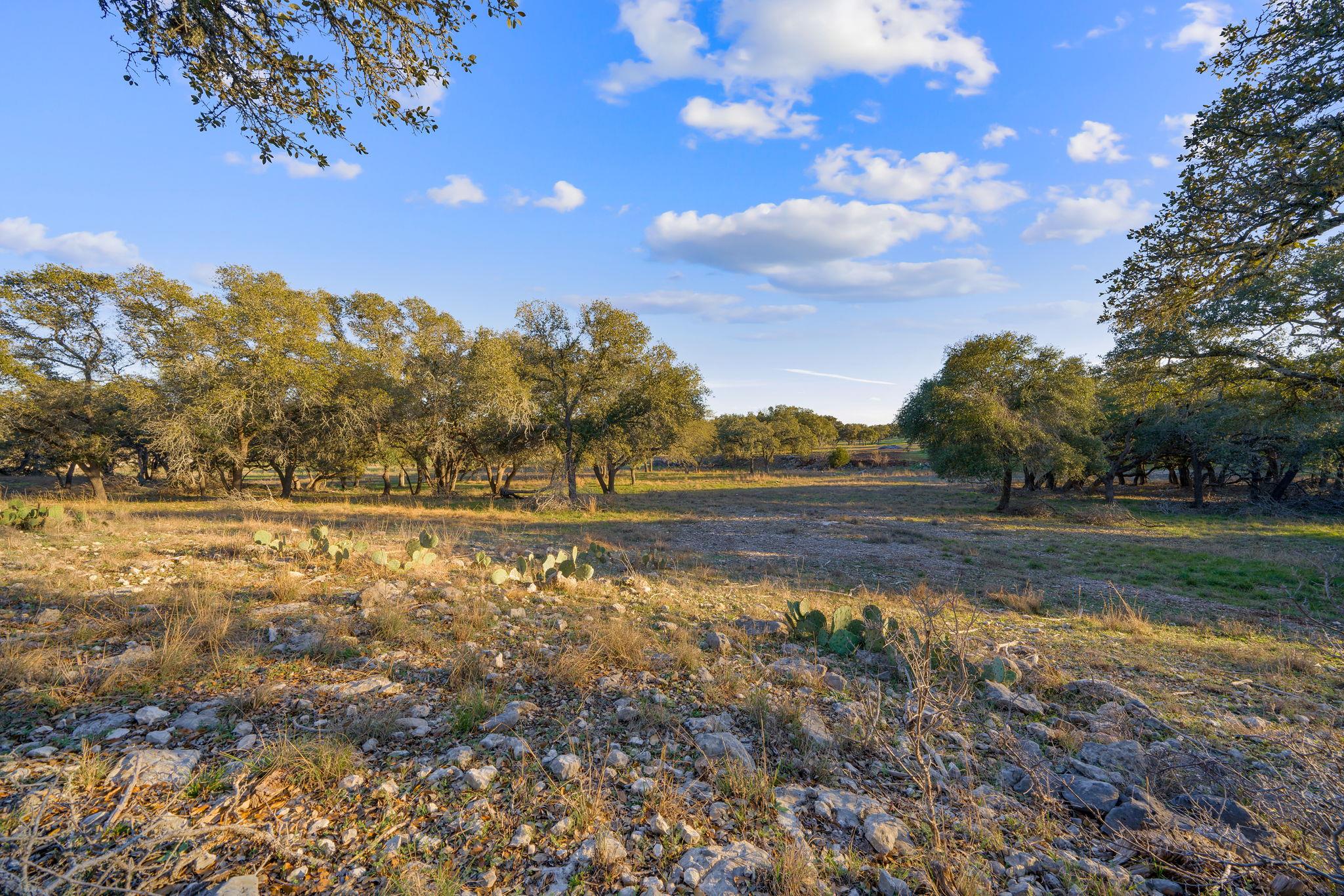 539 Clay Ridge Rdg, Canyon Lake, TX 78133