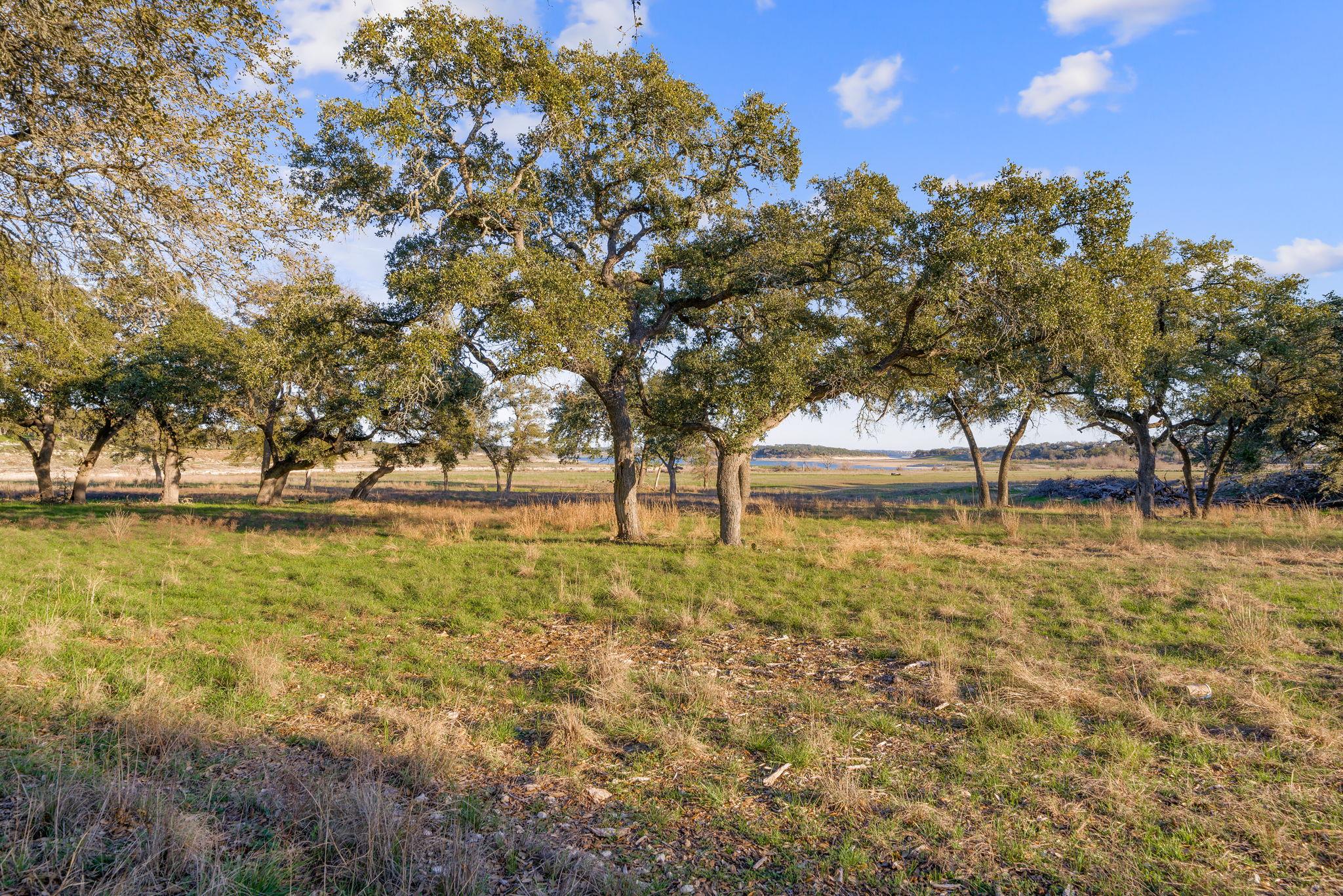 539 Clay Ridge Rdg, Canyon Lake, TX 78133