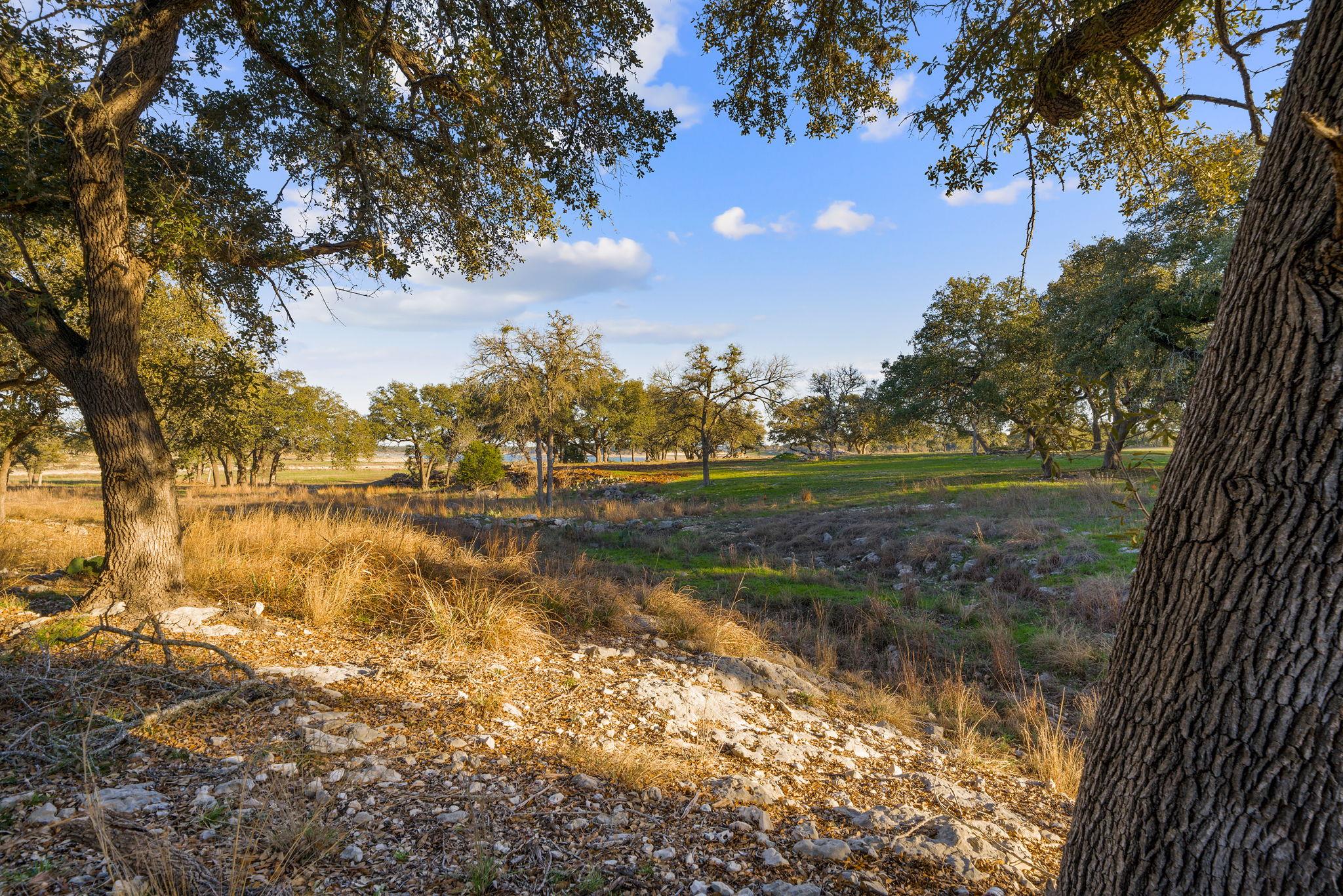 539 Clay Ridge Rdg, Canyon Lake, TX 78133