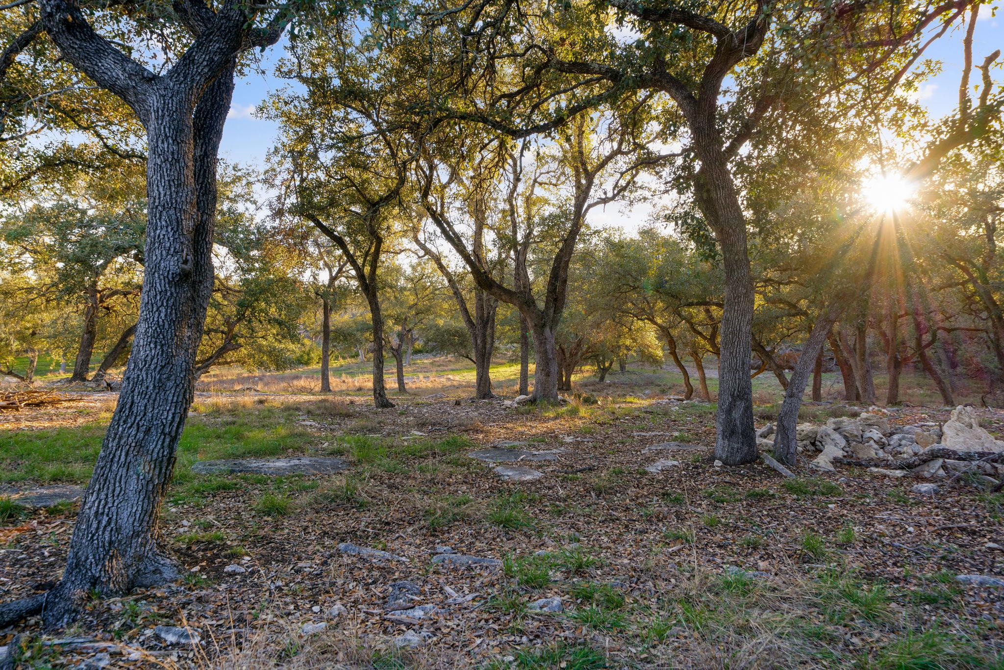 539 Clay Ridge Rdg, Canyon Lake, TX 78133