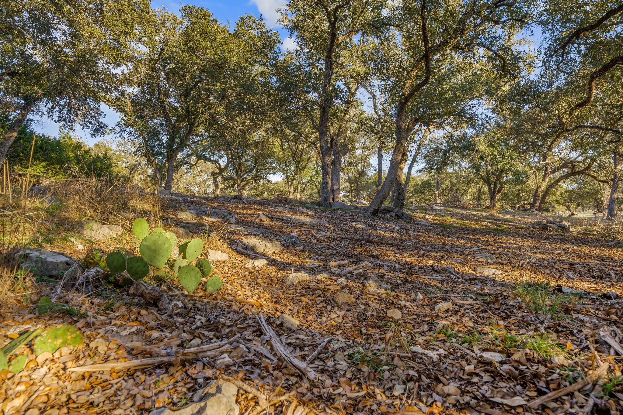 539 Clay Ridge Rdg, Canyon Lake, TX 78133