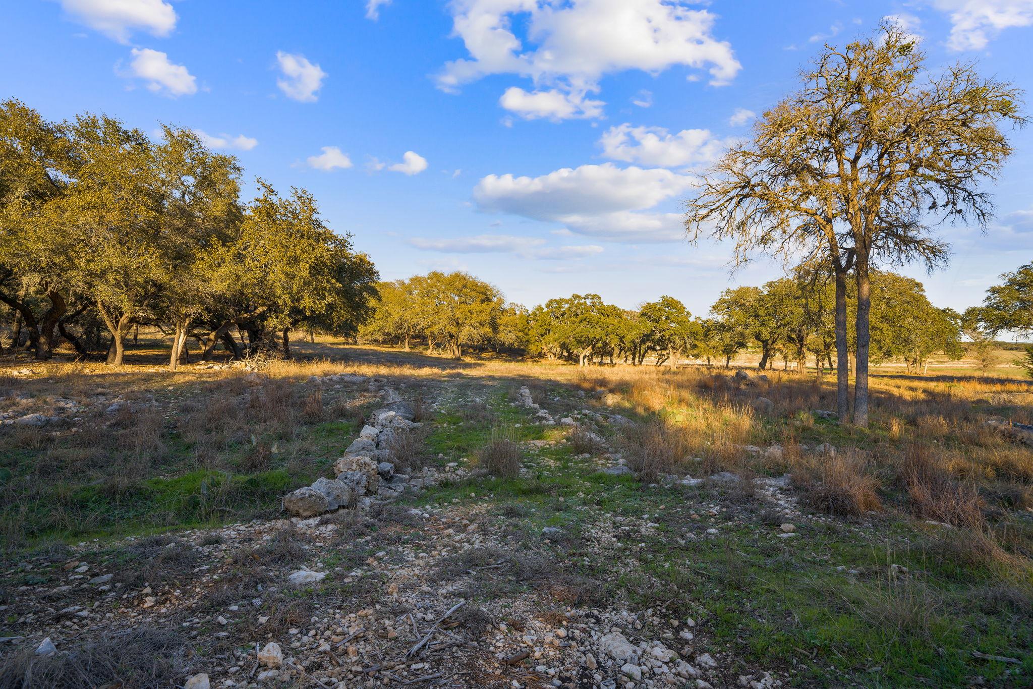 539 Clay Ridge Rdg, Canyon Lake, TX 78133