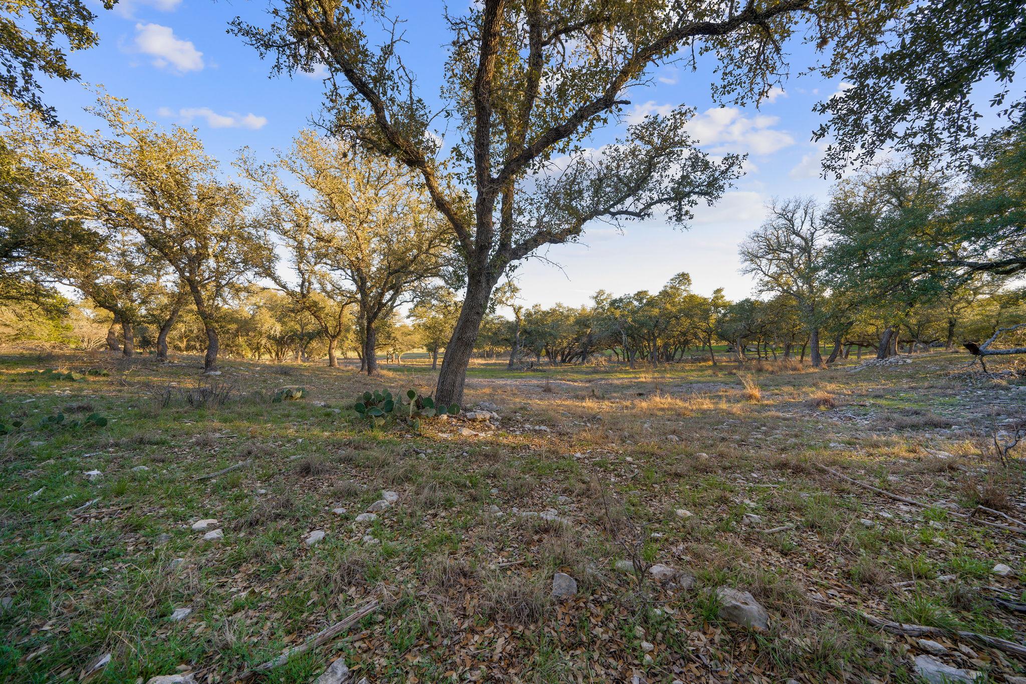 539 Clay Ridge Rdg, Canyon Lake, TX 78133