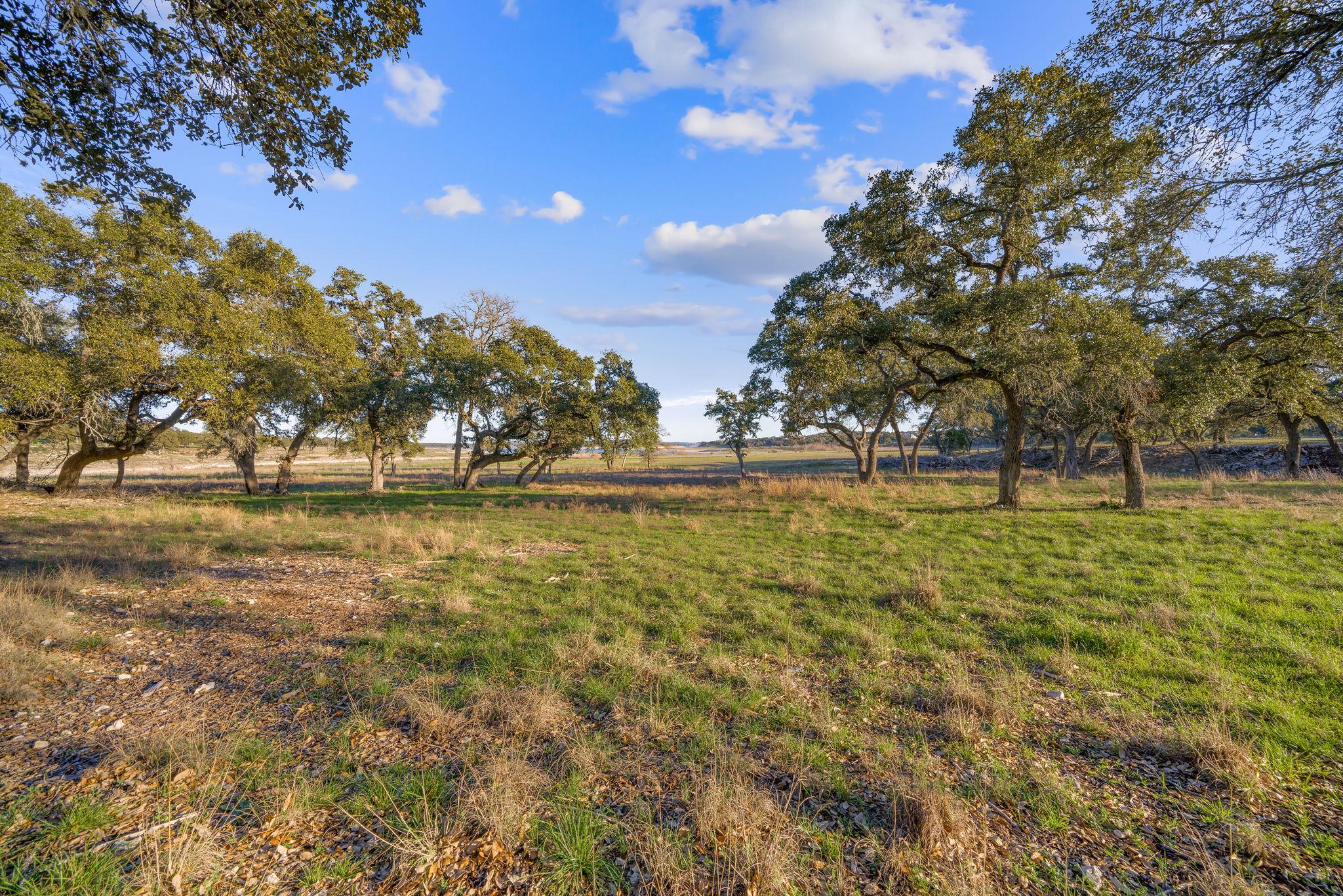 539 Clay Ridge Rdg, Canyon Lake, TX 78133