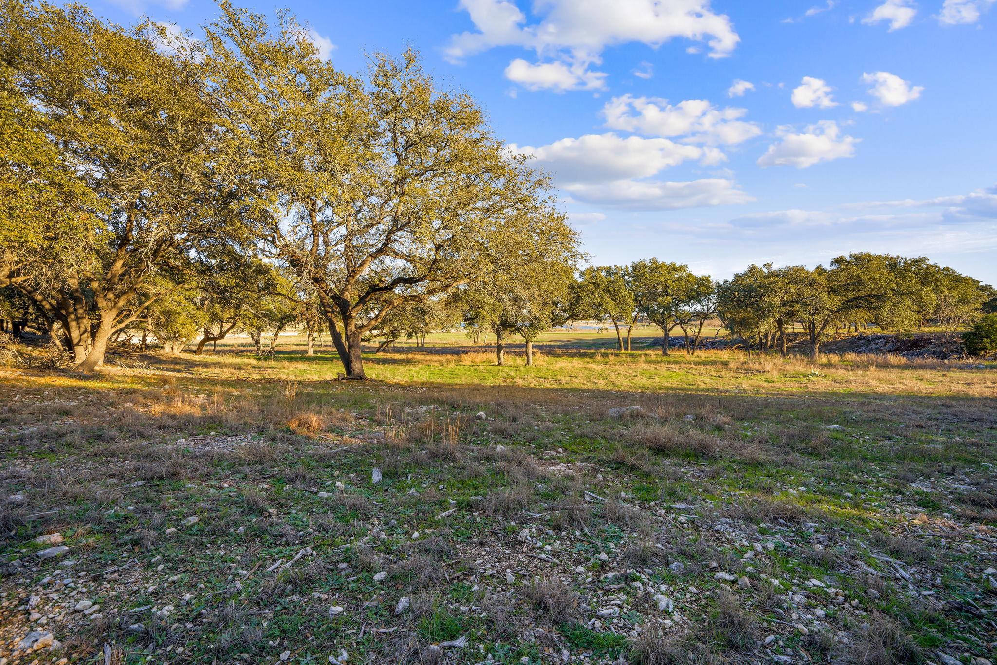 539 Clay Ridge Rdg, Canyon Lake, TX 78133