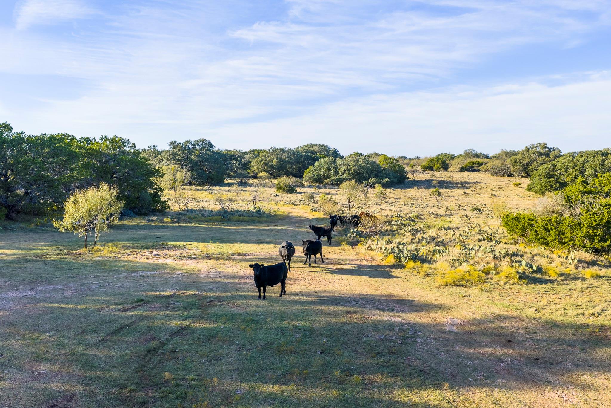 TBD County Road 105, Lampasas, TX 76550