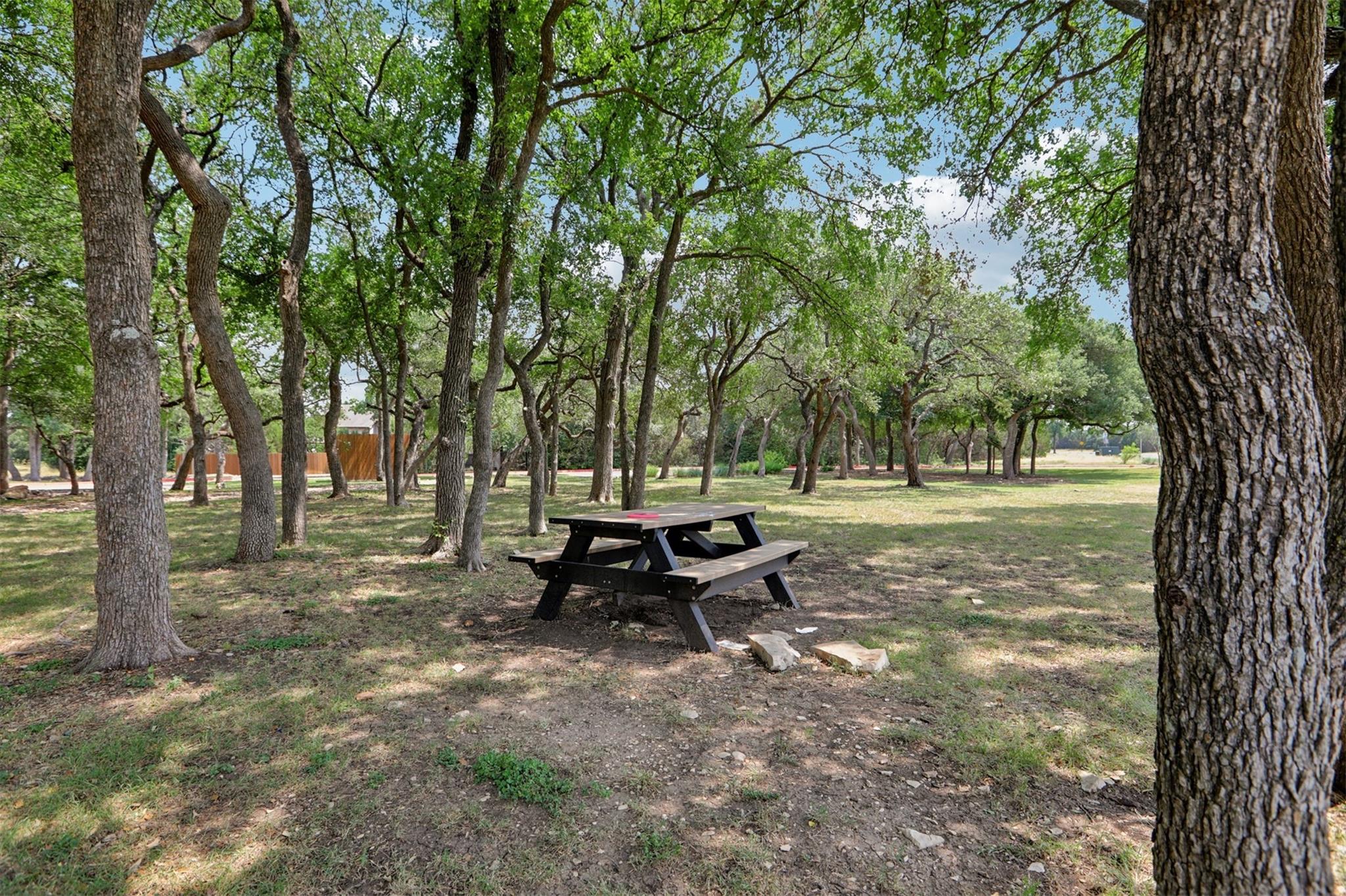 12109 Bryony Dr, Austin, TX 78739