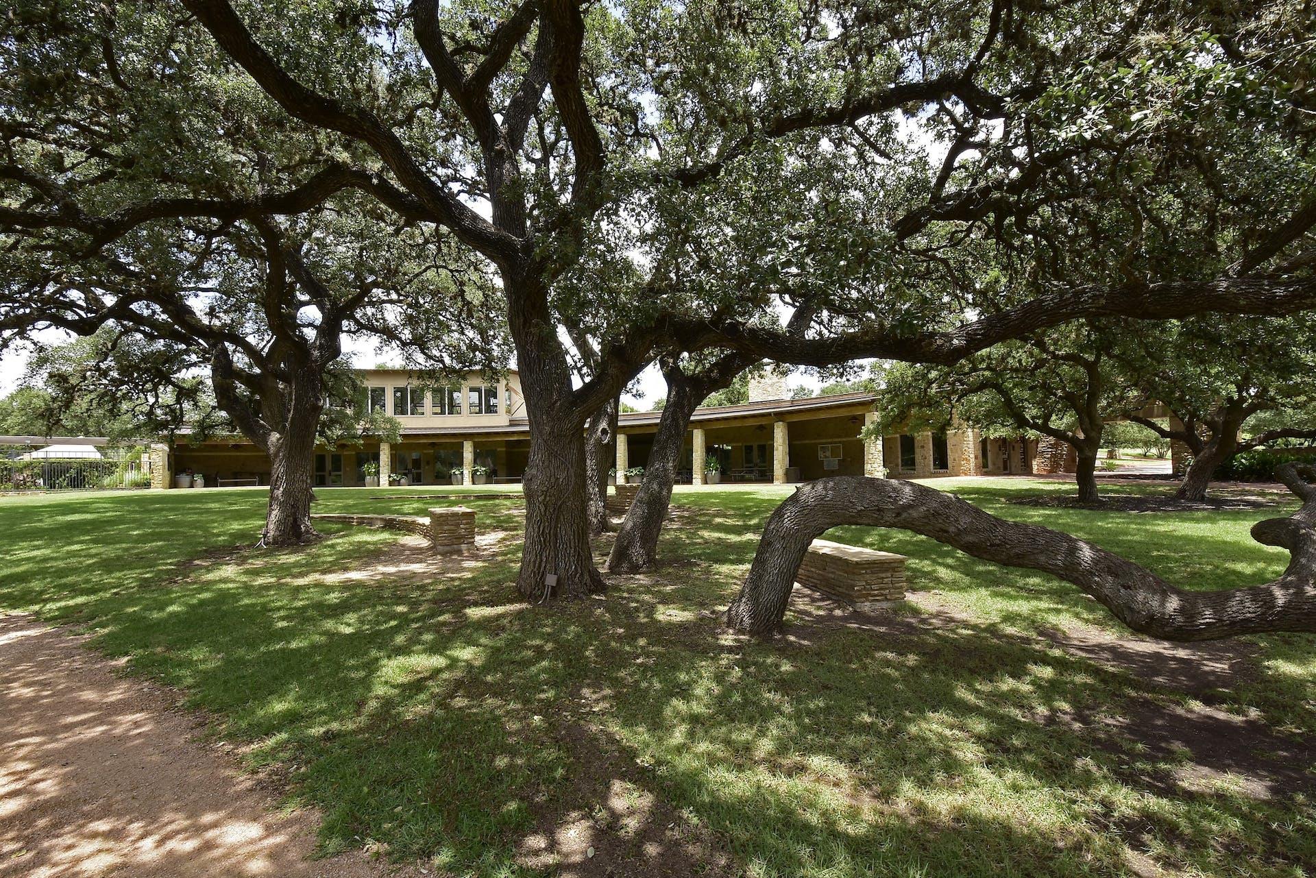 306 Swallowtail Dr, Austin, TX 78737