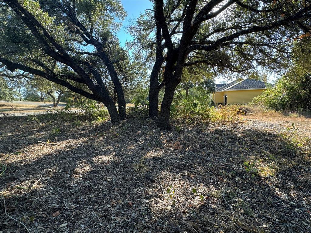 15209 Cavalier Canyon Dr, Lakeway, TX 78734