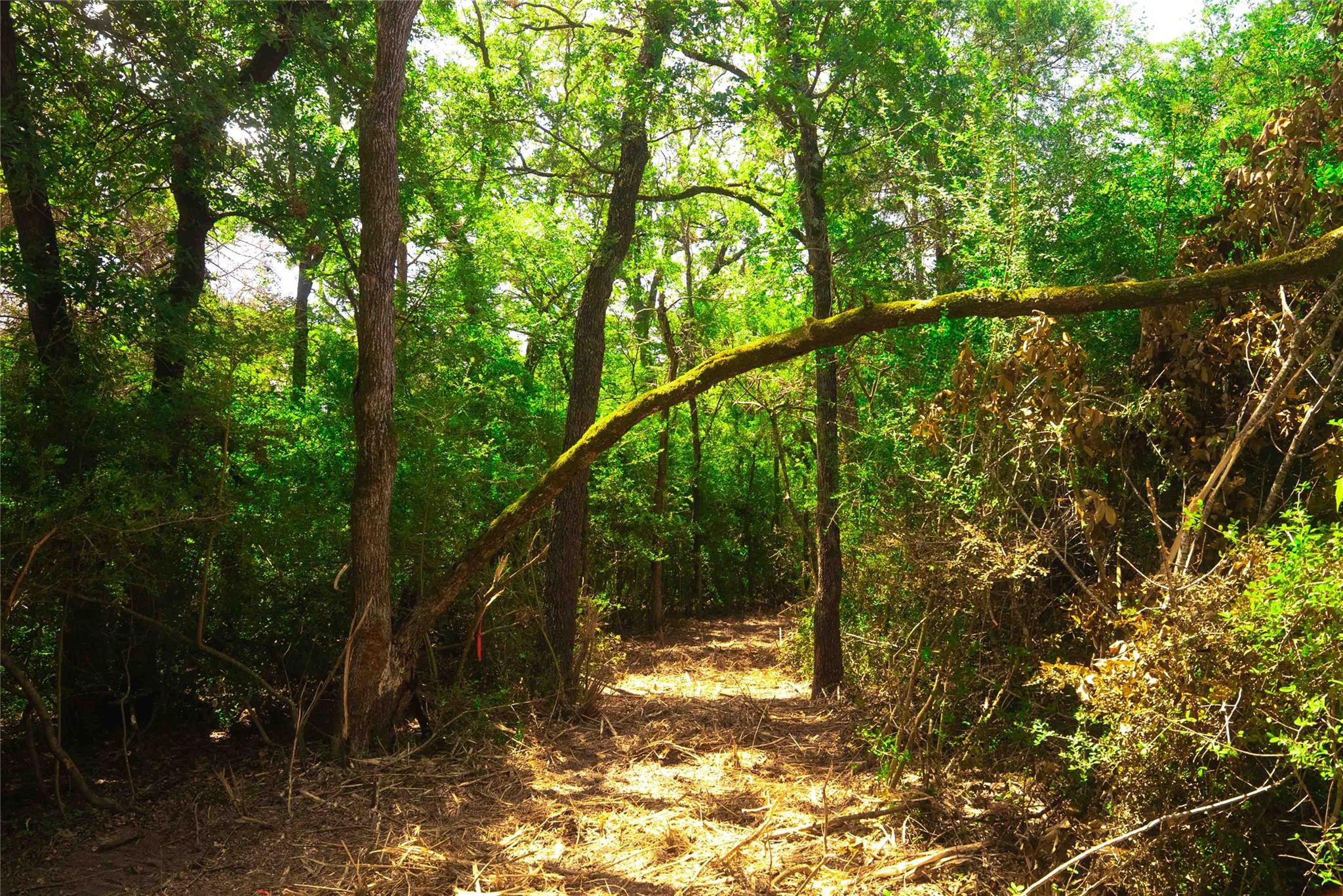 5131 N State Highway 6, Hearne, TX 77859