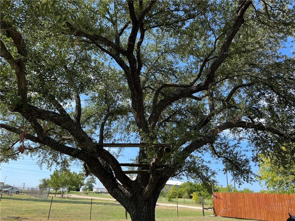 515 Bonita Vista Dr, Buda, TX 78610