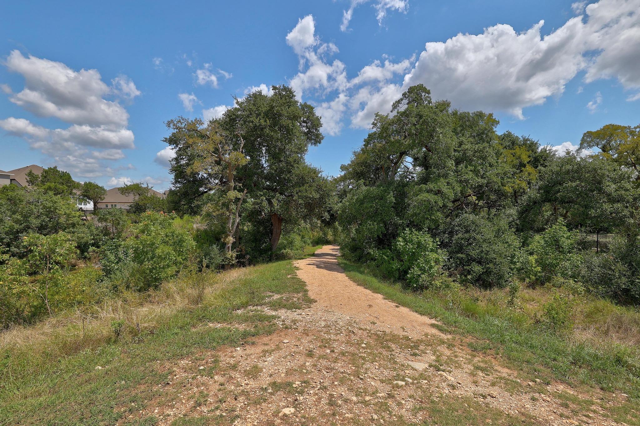 2809 Stone Branch Dr, Leander, TX 78641