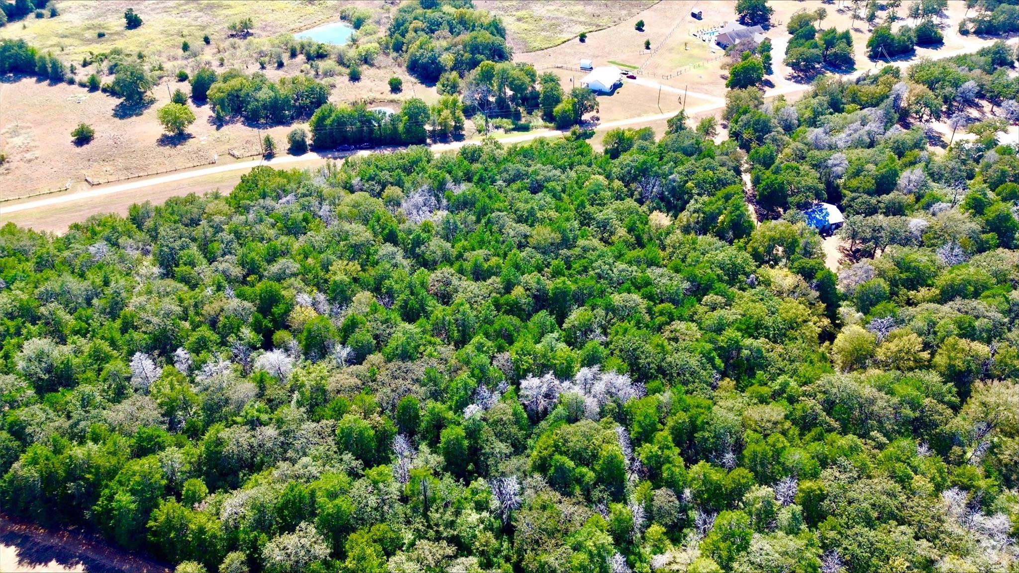 1135 Private Road 7039, Lexington, TX 78947