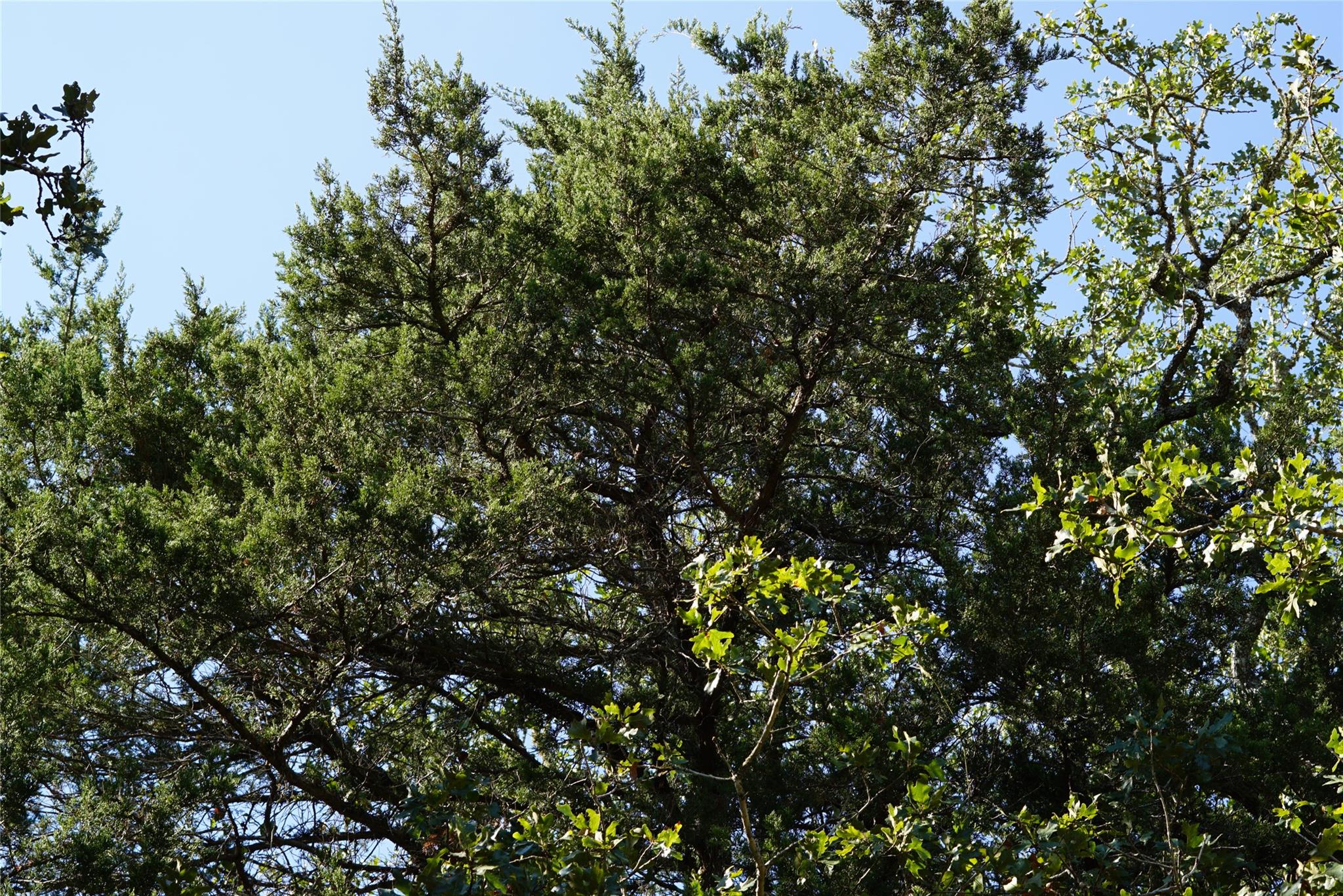 1135 Private Road 7039, Lexington, TX 78947