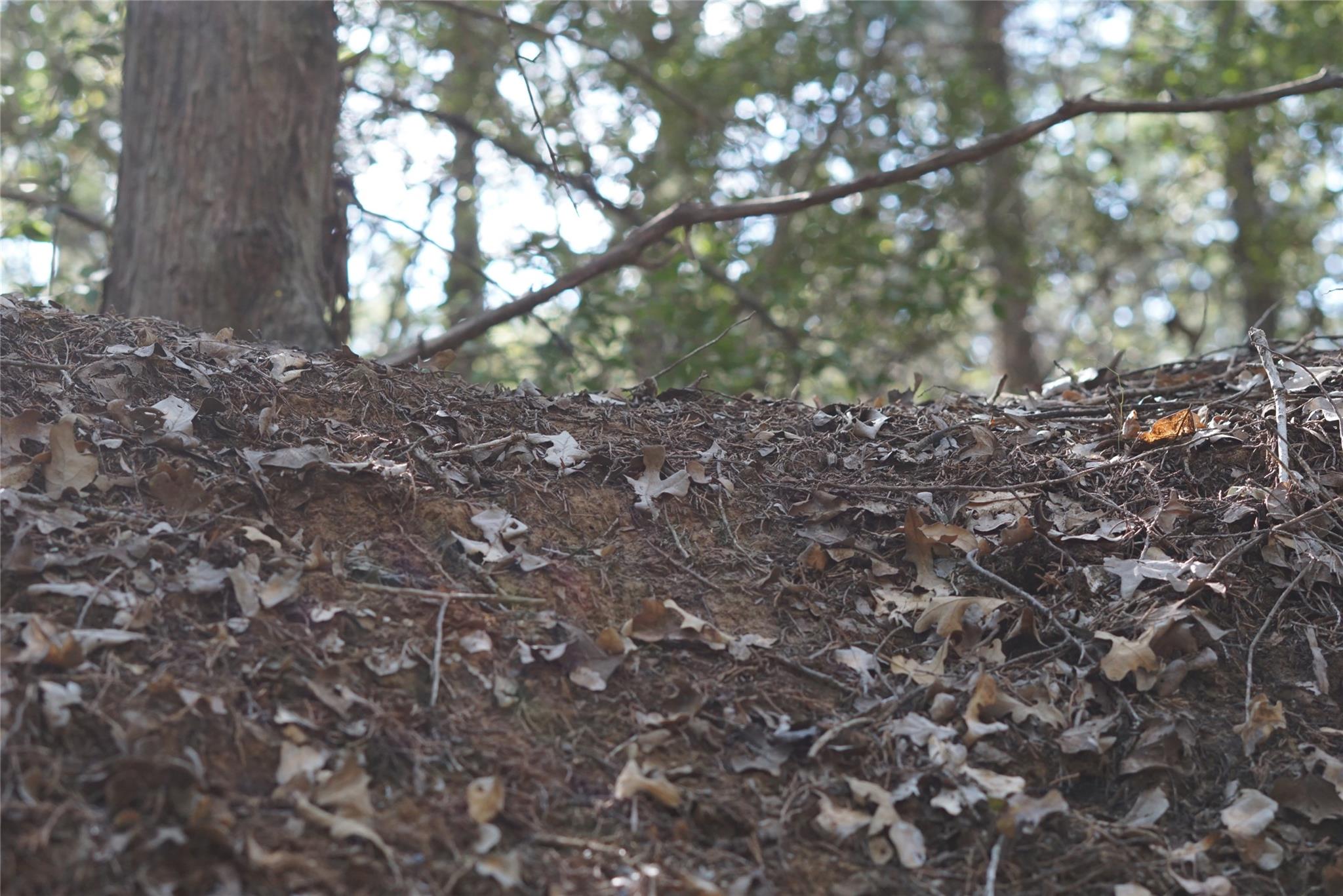 1135 Private Road 7039, Lexington, TX 78947