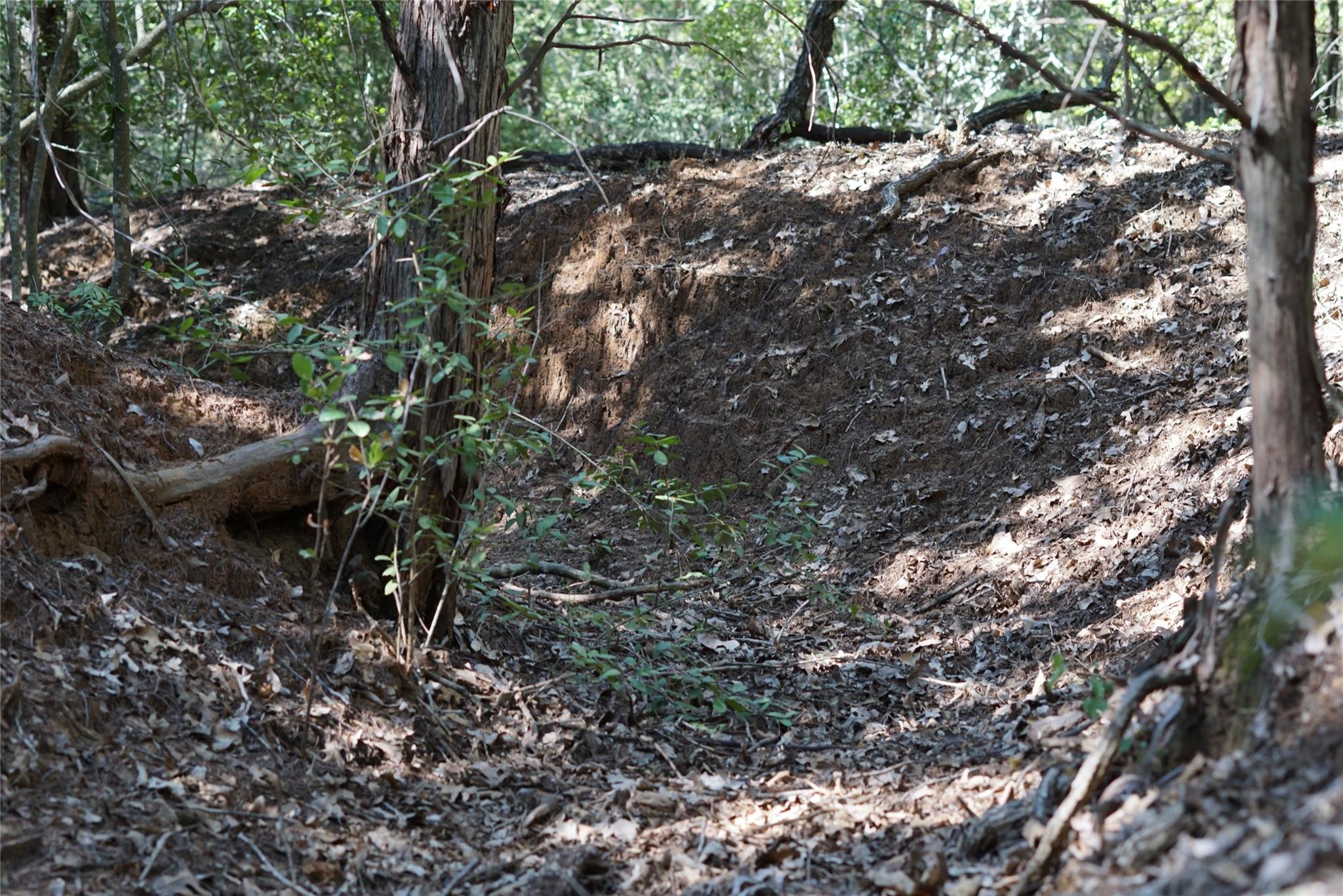 1135 Private Road 7039, Lexington, TX 78947