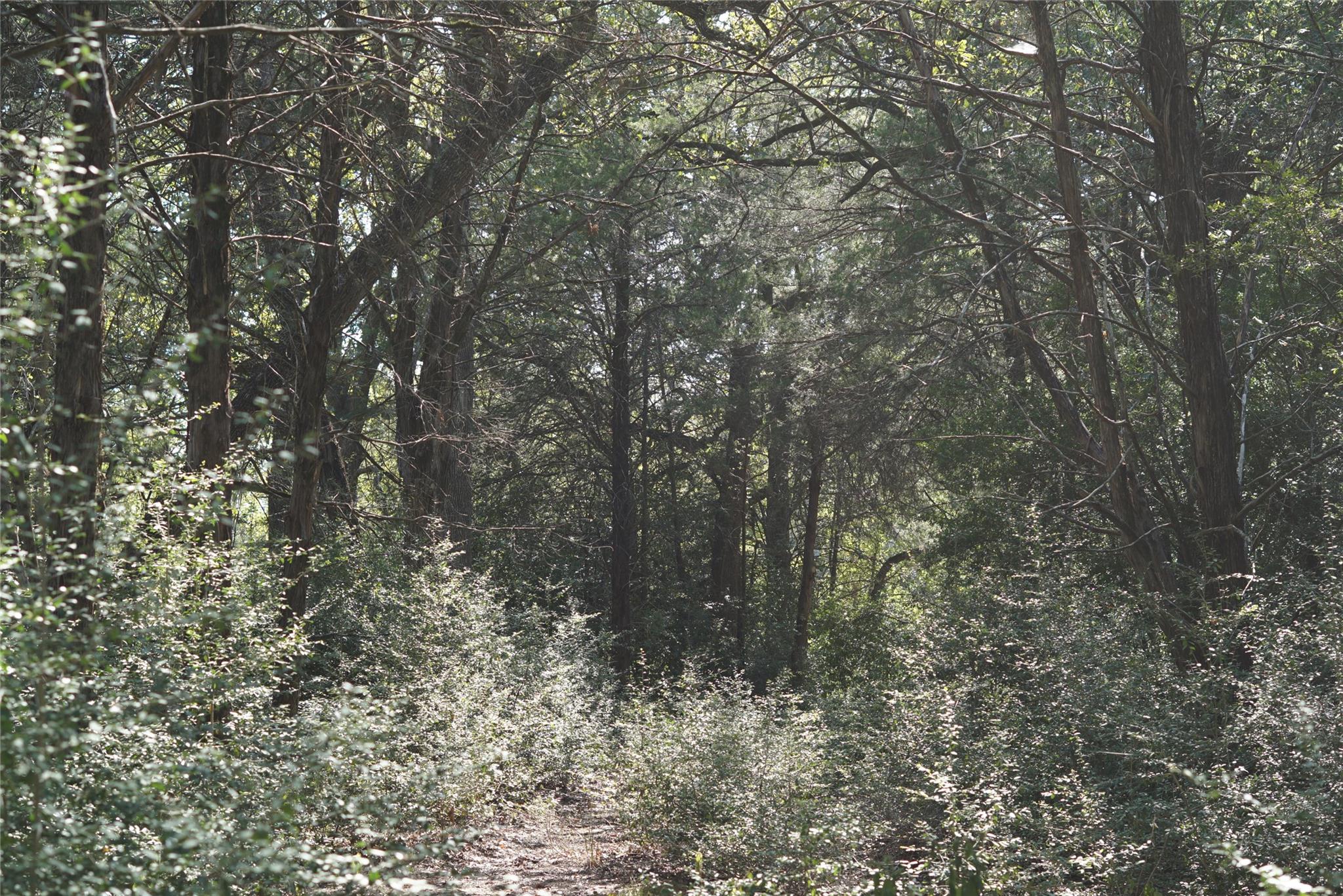 1135 Private Road 7039, Lexington, TX 78947