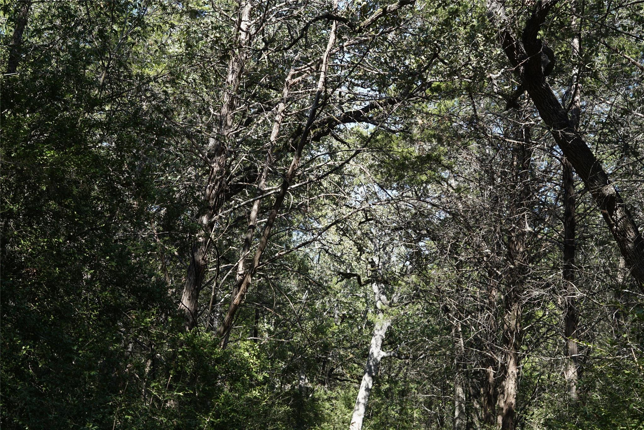 1135 Private Road 7039, Lexington, TX 78947